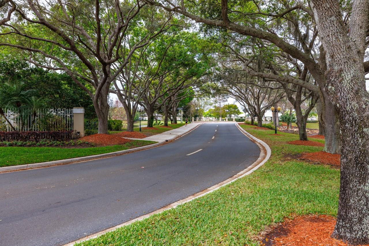 Meadows Prcl 61 & 61a - Residential