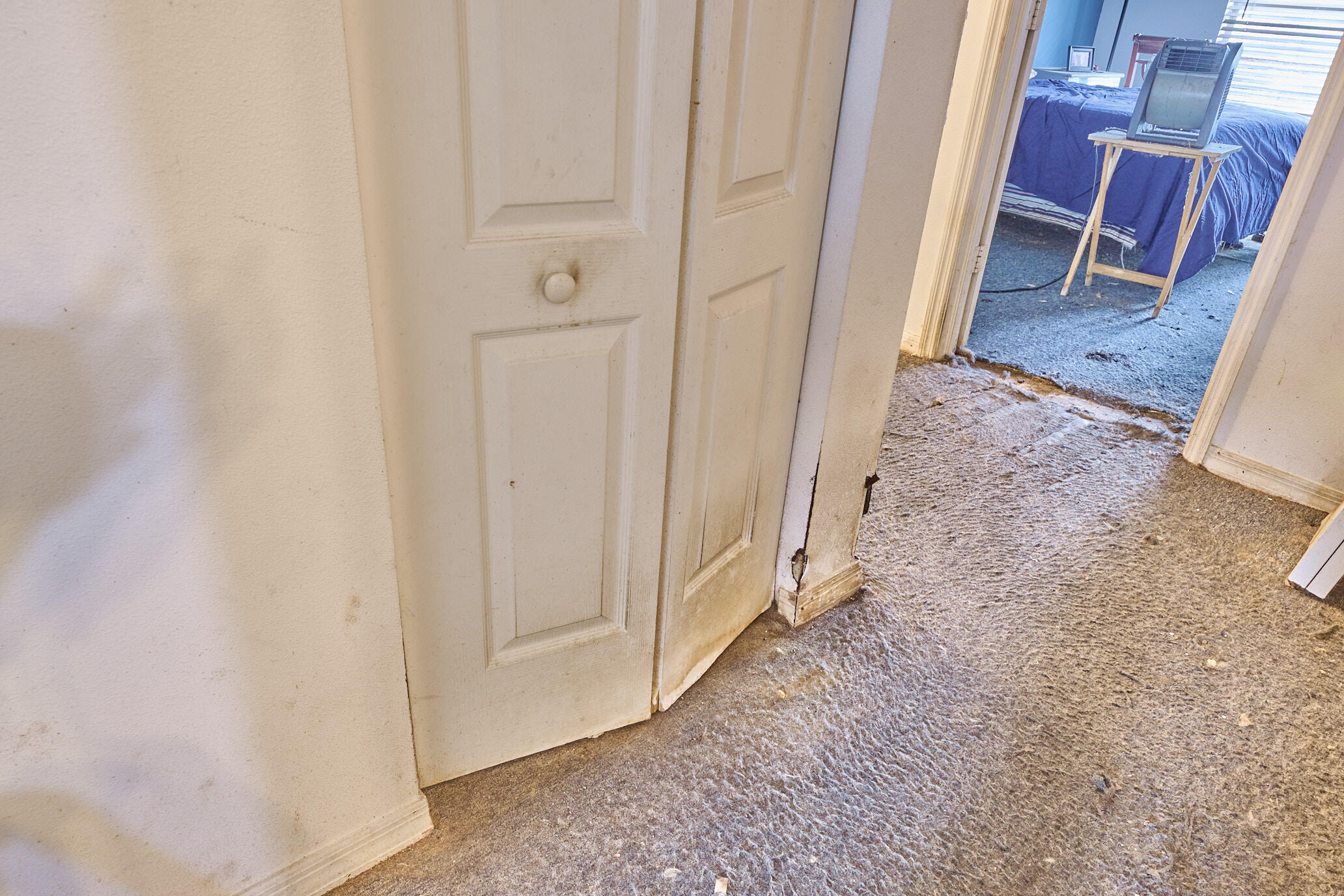 SEMINOLE PALMS - Residential