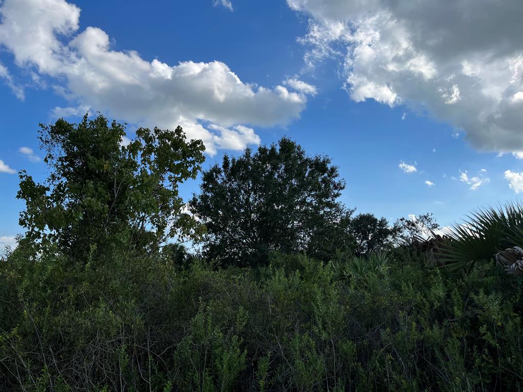 Build or bring your dream home and barn on this beautiful private 1.25 acres not too far off of the main road but yet still private. So much to enjoy in Okeechobee County. Come to The Kissimmee River Preserve State Park West of this area as well is the Kissimmee River. The Kissimmee River flows into Lake Okeechobee and is well known for some of the best fishing. whether you like Fishing, hunting, mudding agriculture or just privacy here you have it all. Owner financing available.