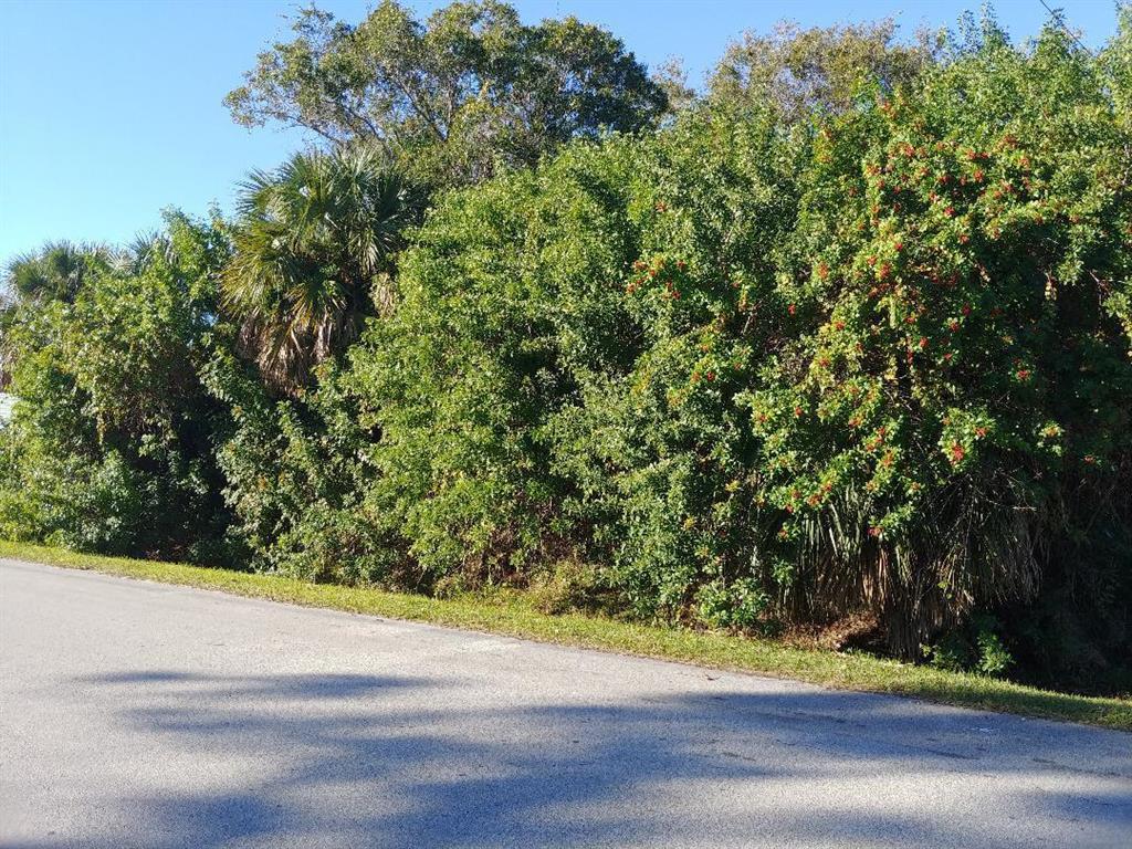 You have the potential to watch the Sun Rise over the Savannah's on your front porch- A perfect positioned vacant Lot that you can build your Dream Home on. You will be able to enjoy all that Indian River Estates Has to offer - It's a country style community just far enough away from the Hustle and Bustle of the City - But you are basically 15 minutes from the Beaches, Shopping, 95 and the Turnpike. Not to mention downtown Ft Pierce along the scenic Indian River Drive. Come do a drive by and see what IRE is all about.