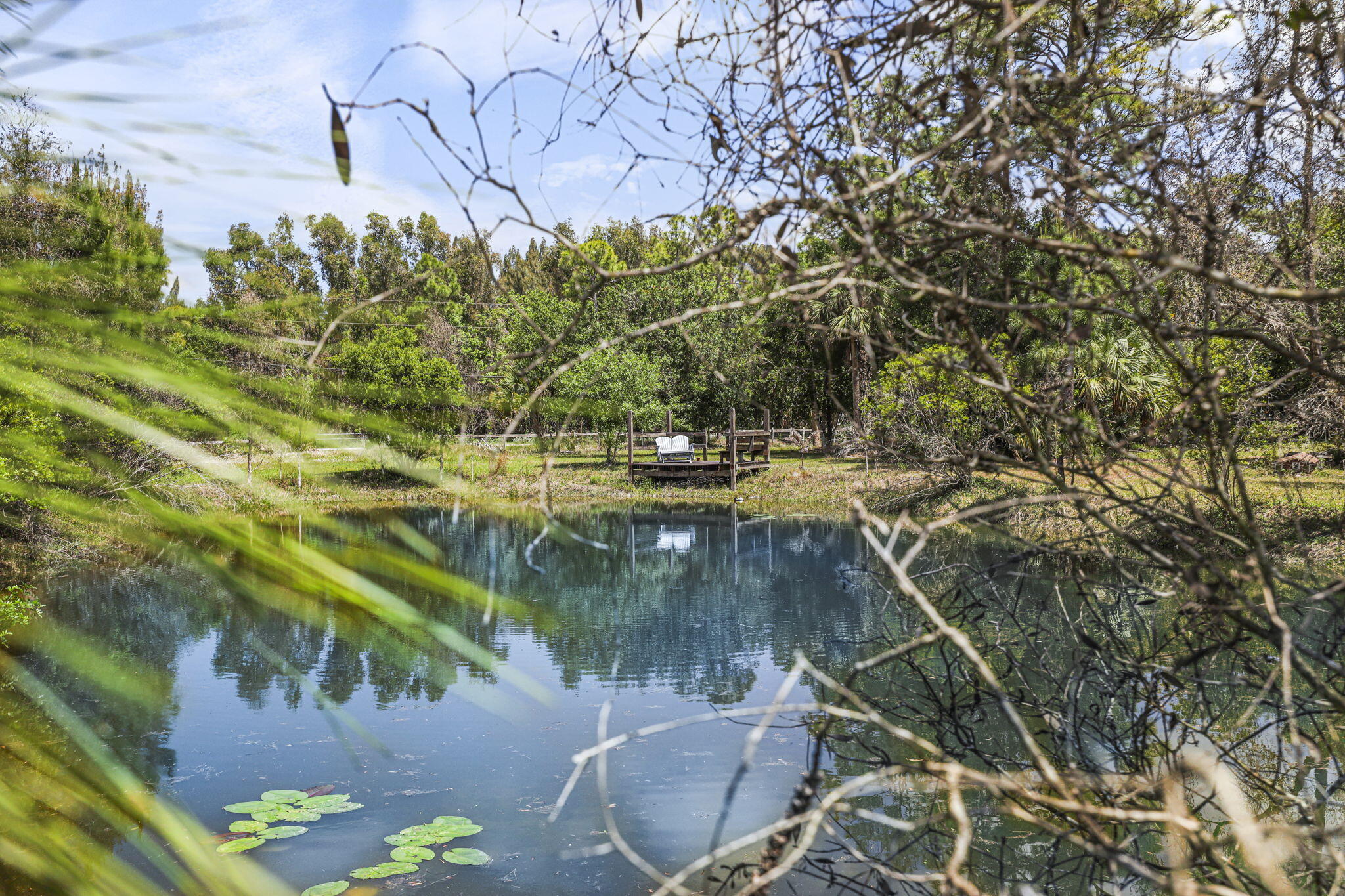 Palma Vista - Residential