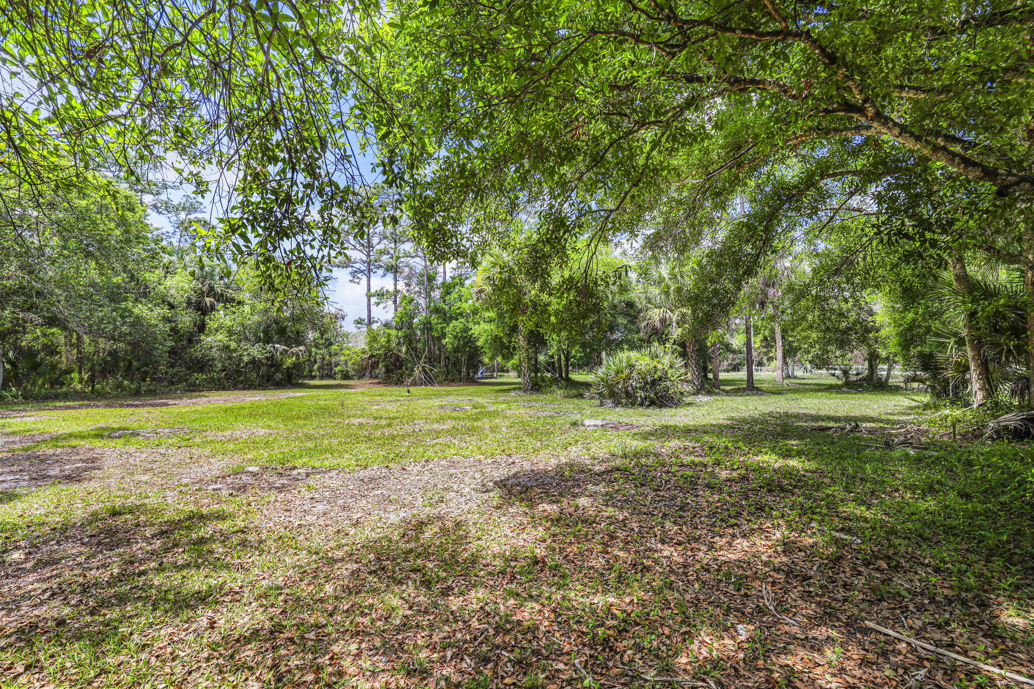 Palma Vista - Residential