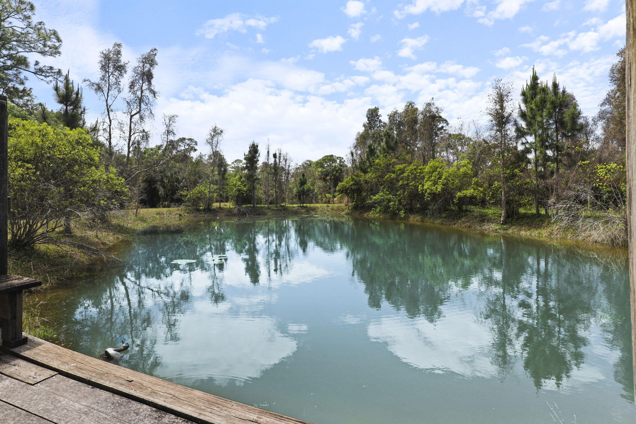 Palma Vista - Residential