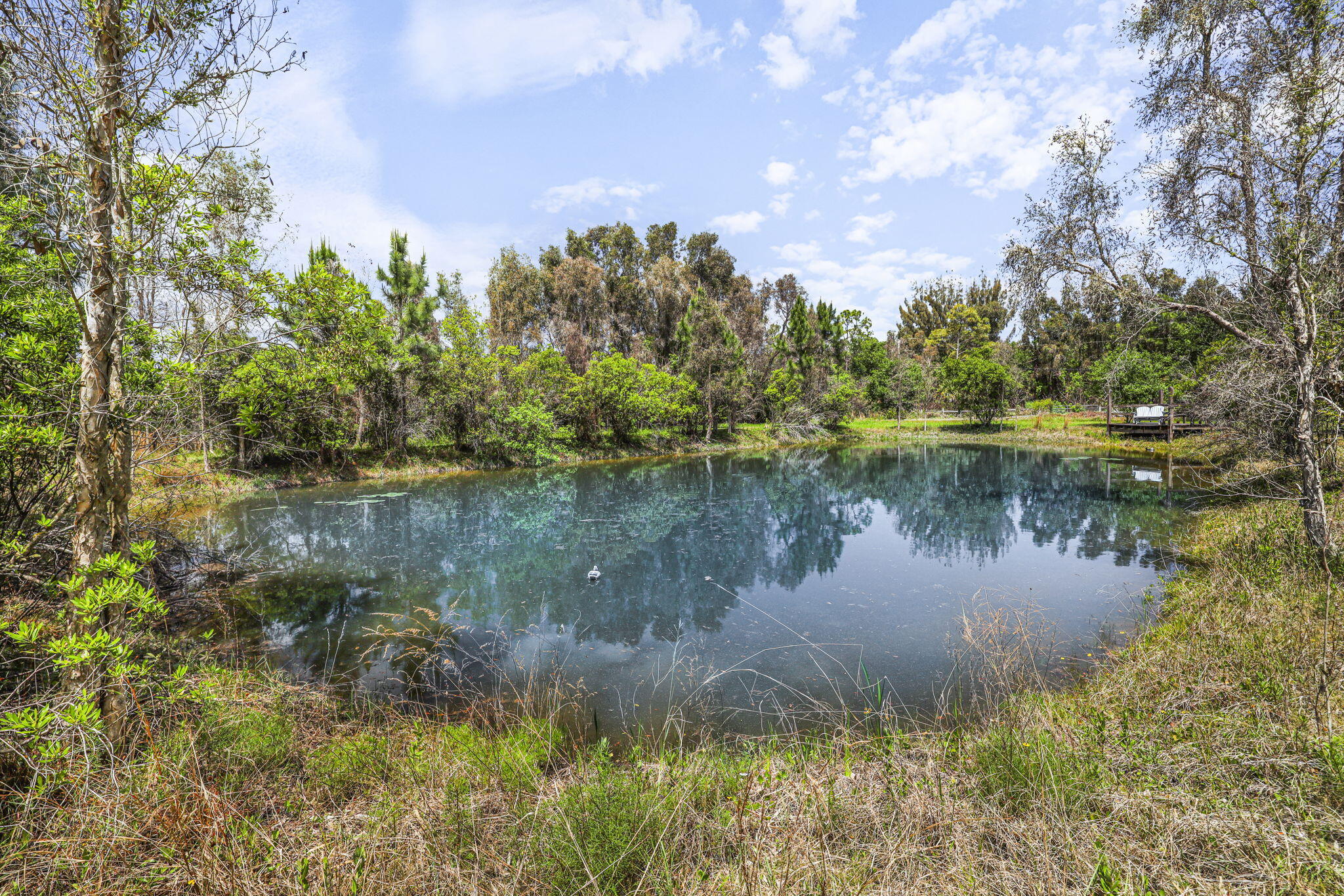 Palma Vista - Residential