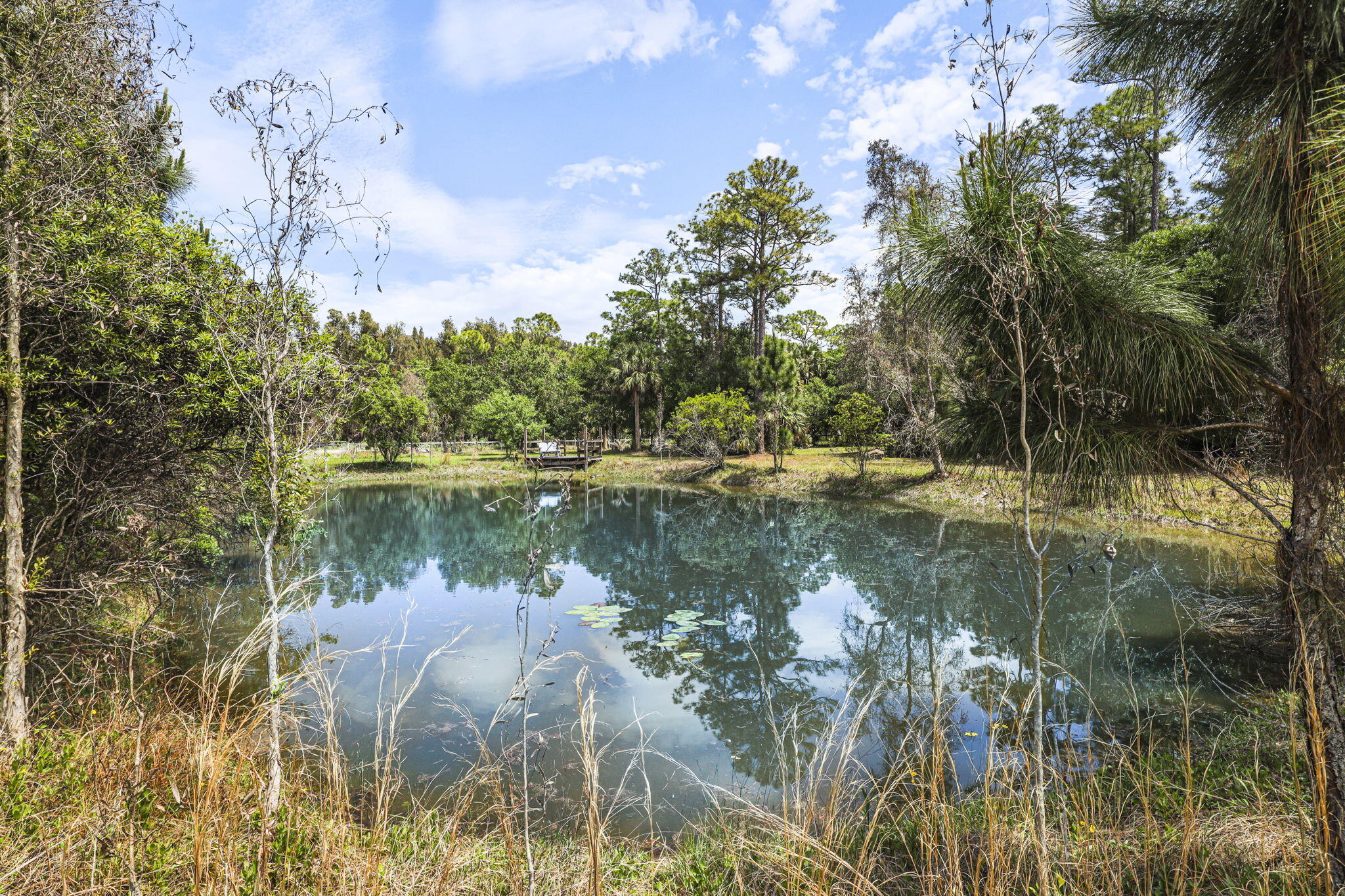 Palma Vista - Residential