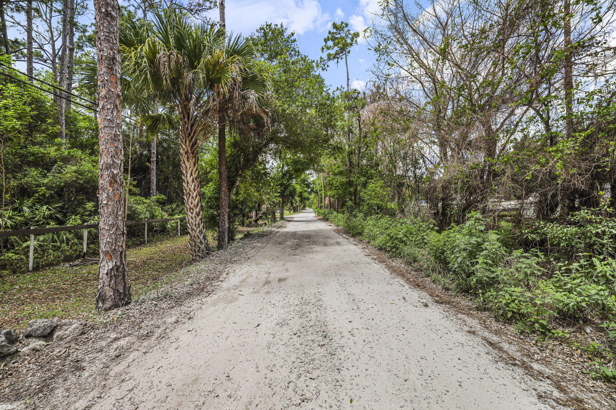Palma Vista - Residential