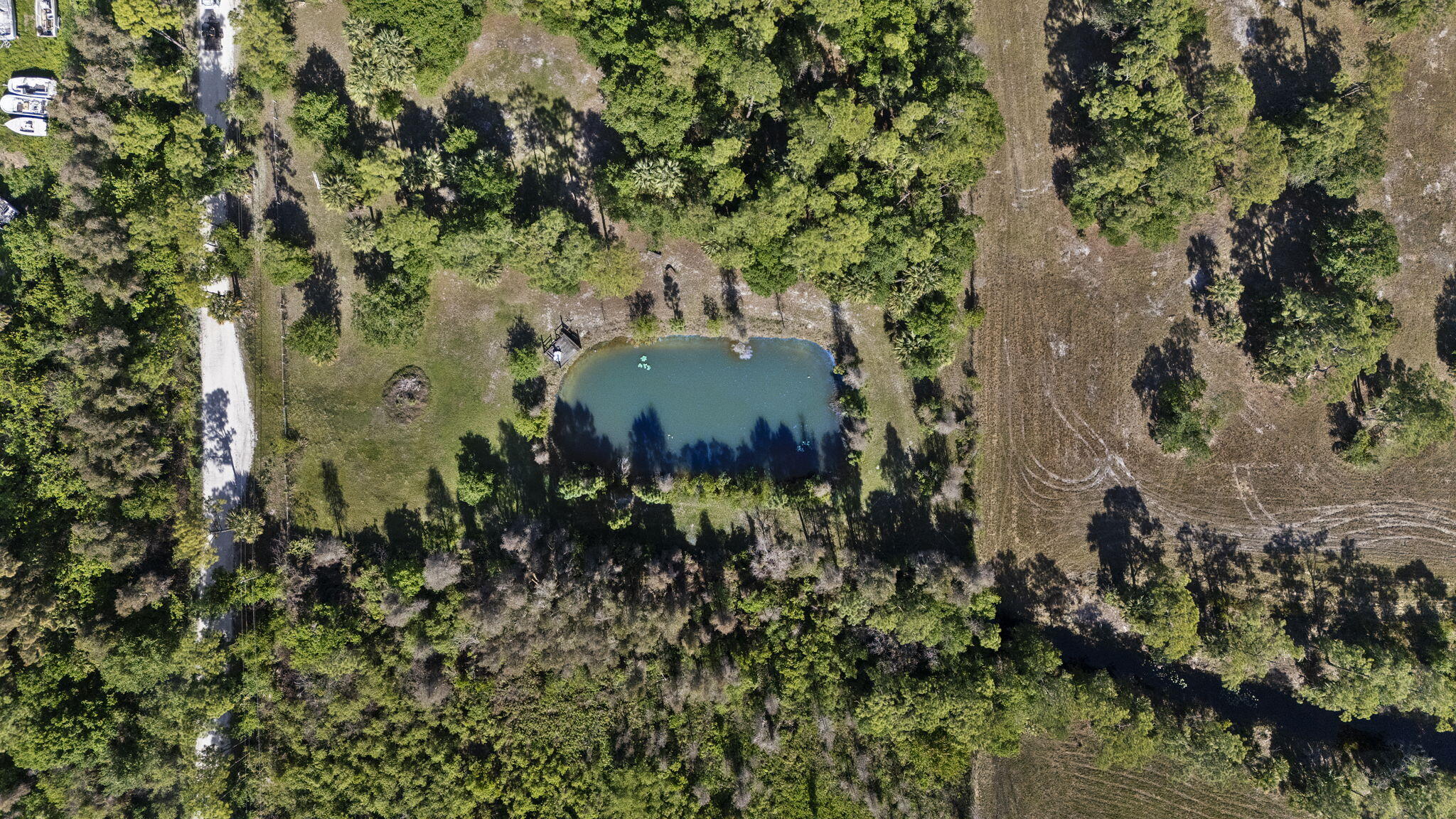 Palma Vista - Residential