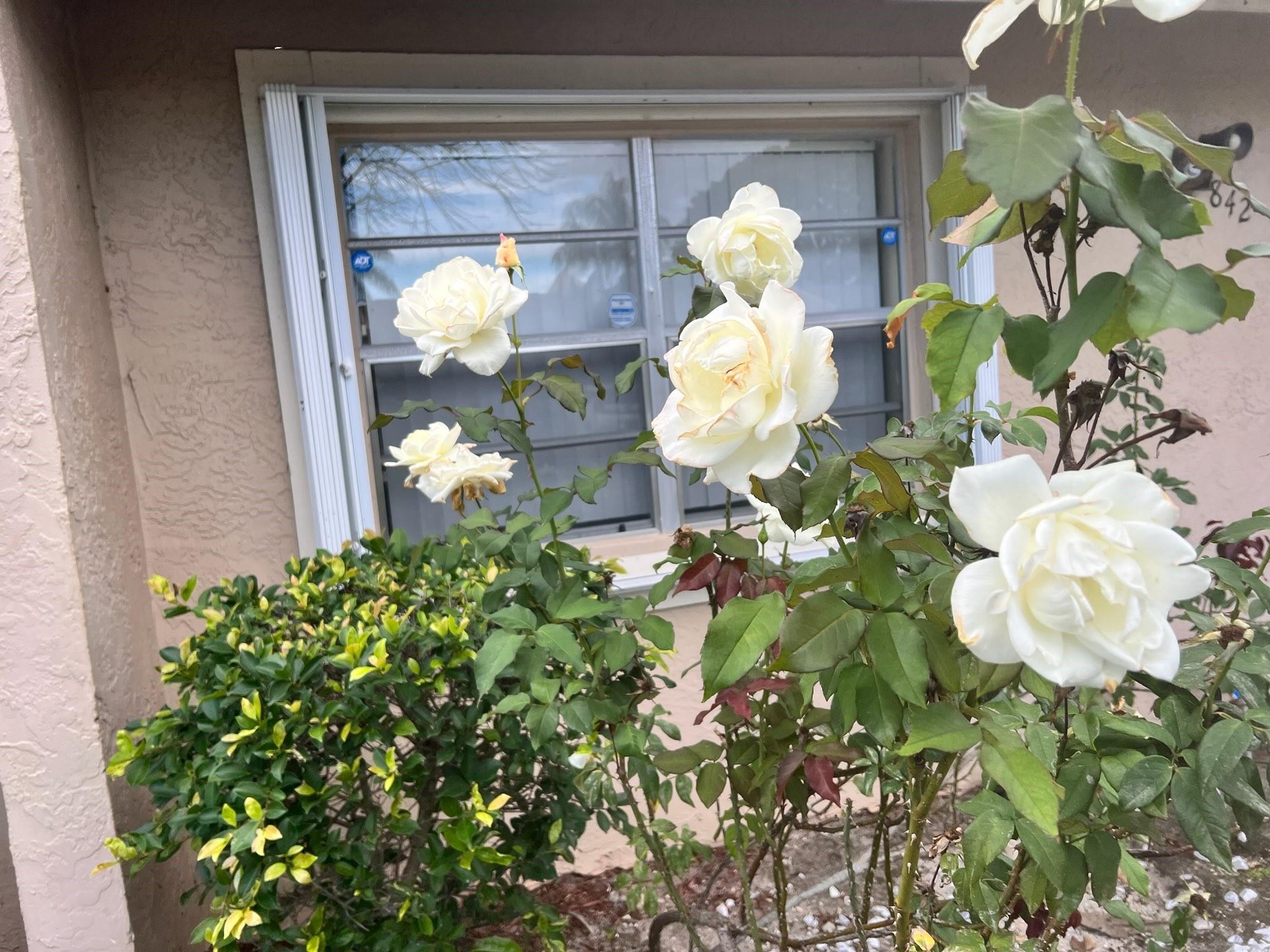 Woodlake Villas - Residential