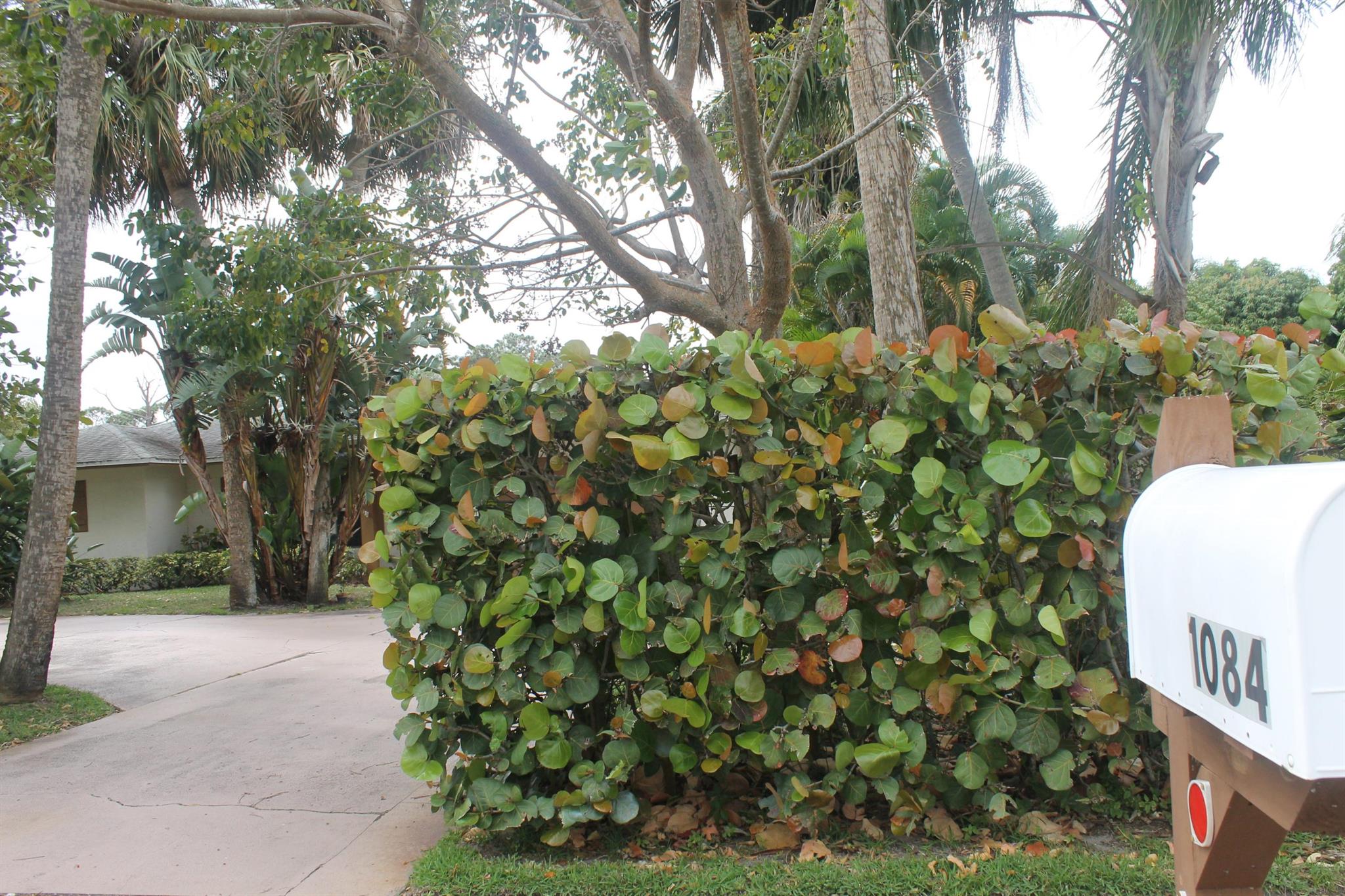 BAY ST LUCIE - Residential Lease