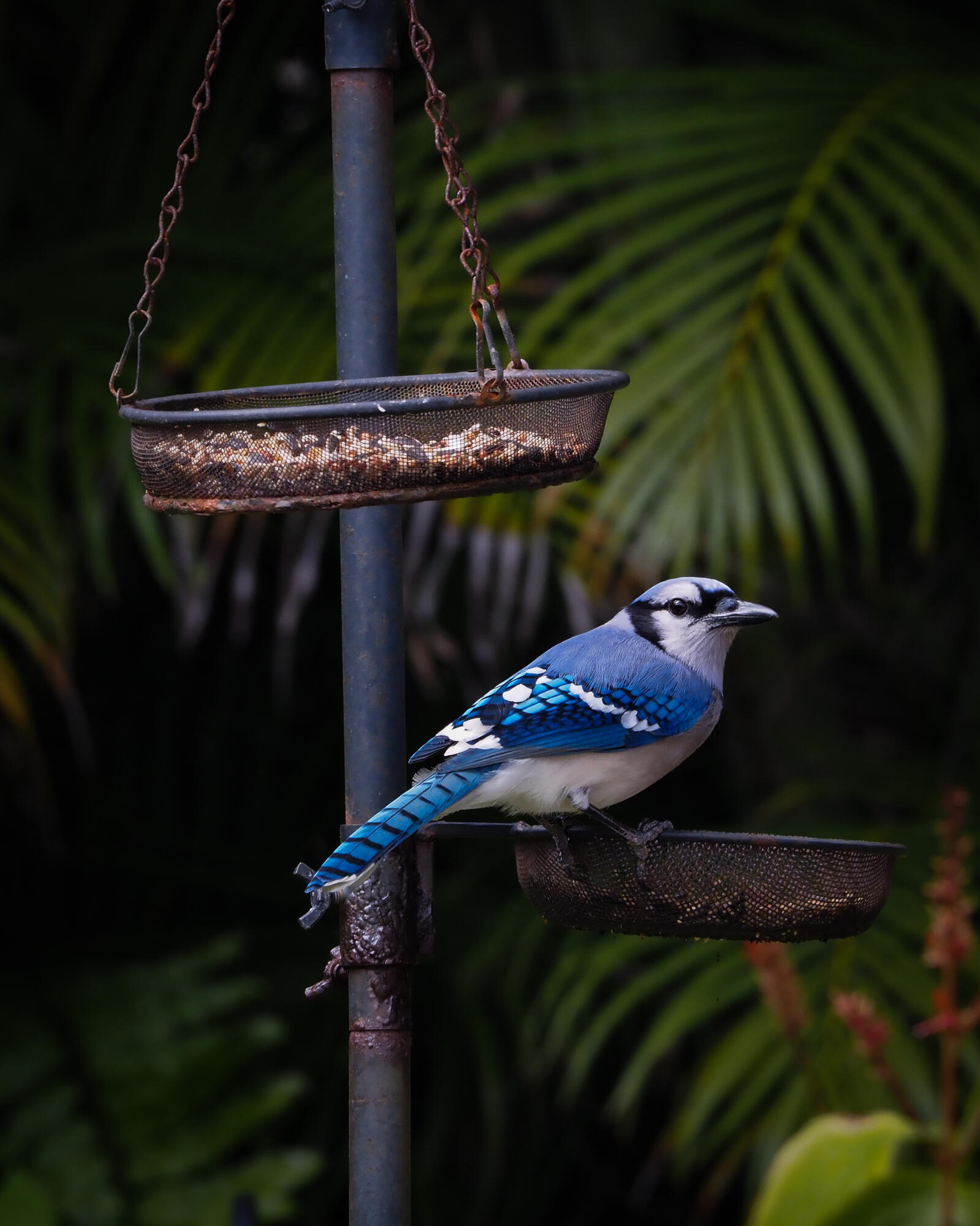 PORT ST LUCIE - Residential