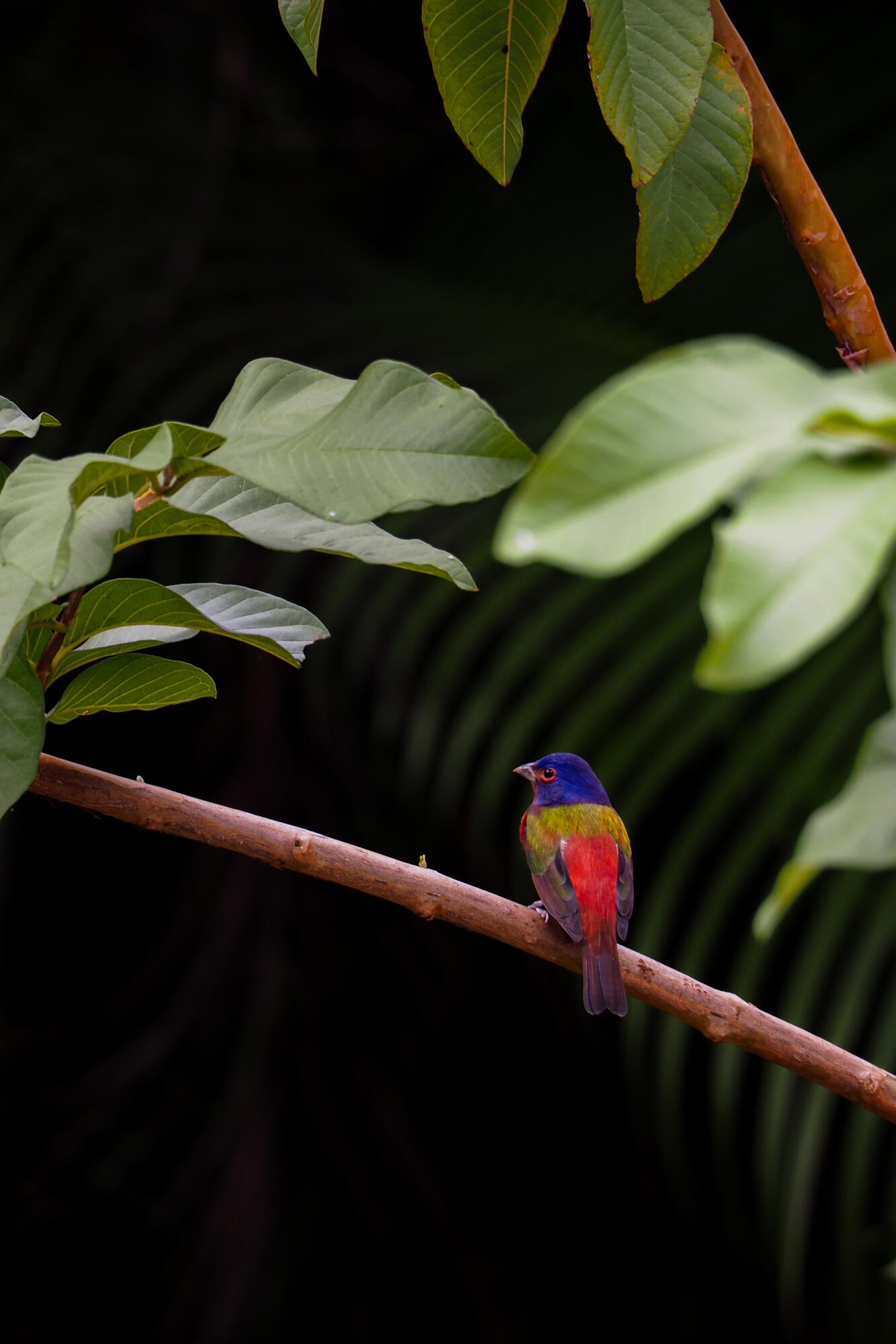 PORT ST LUCIE - Residential