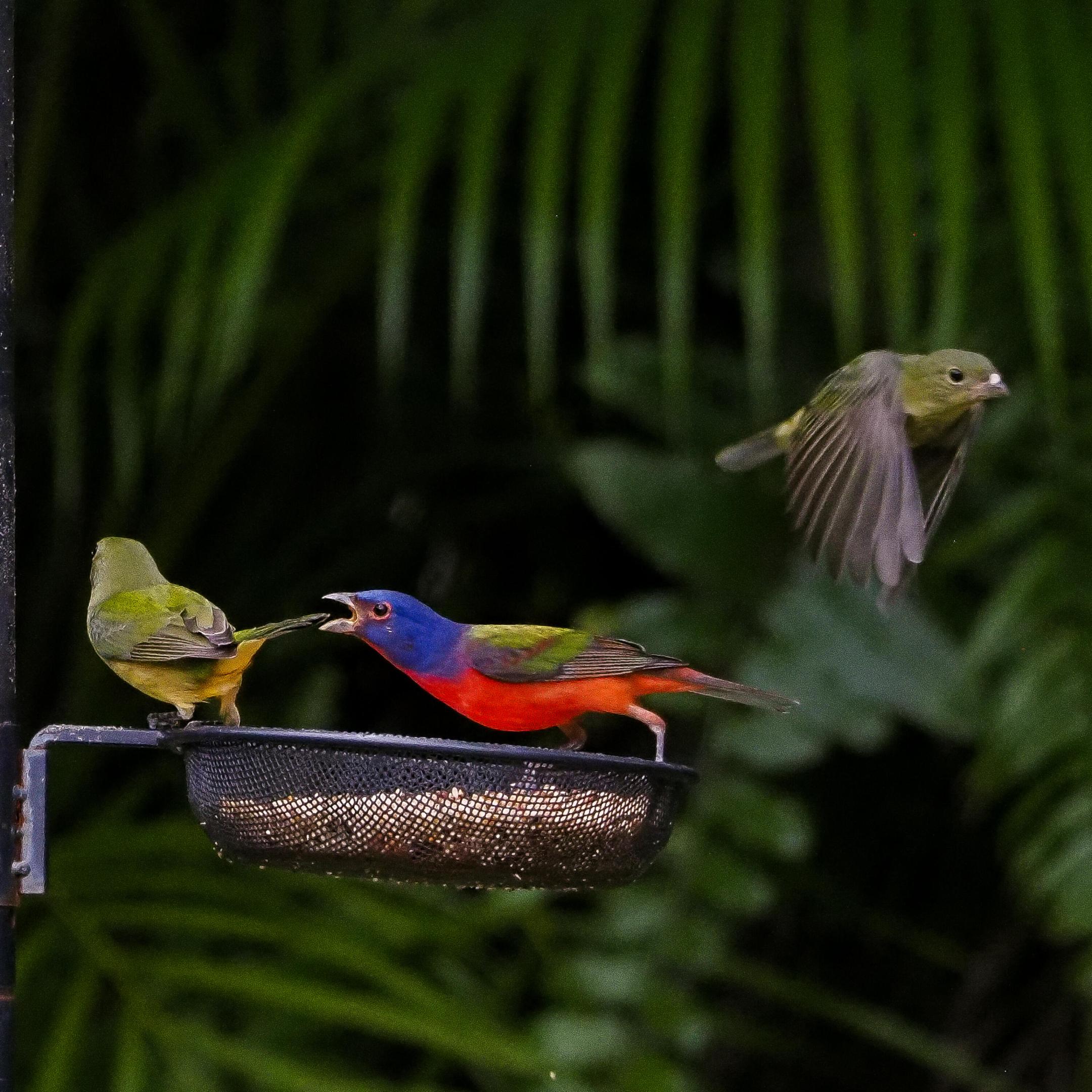 PORT ST LUCIE - Residential
