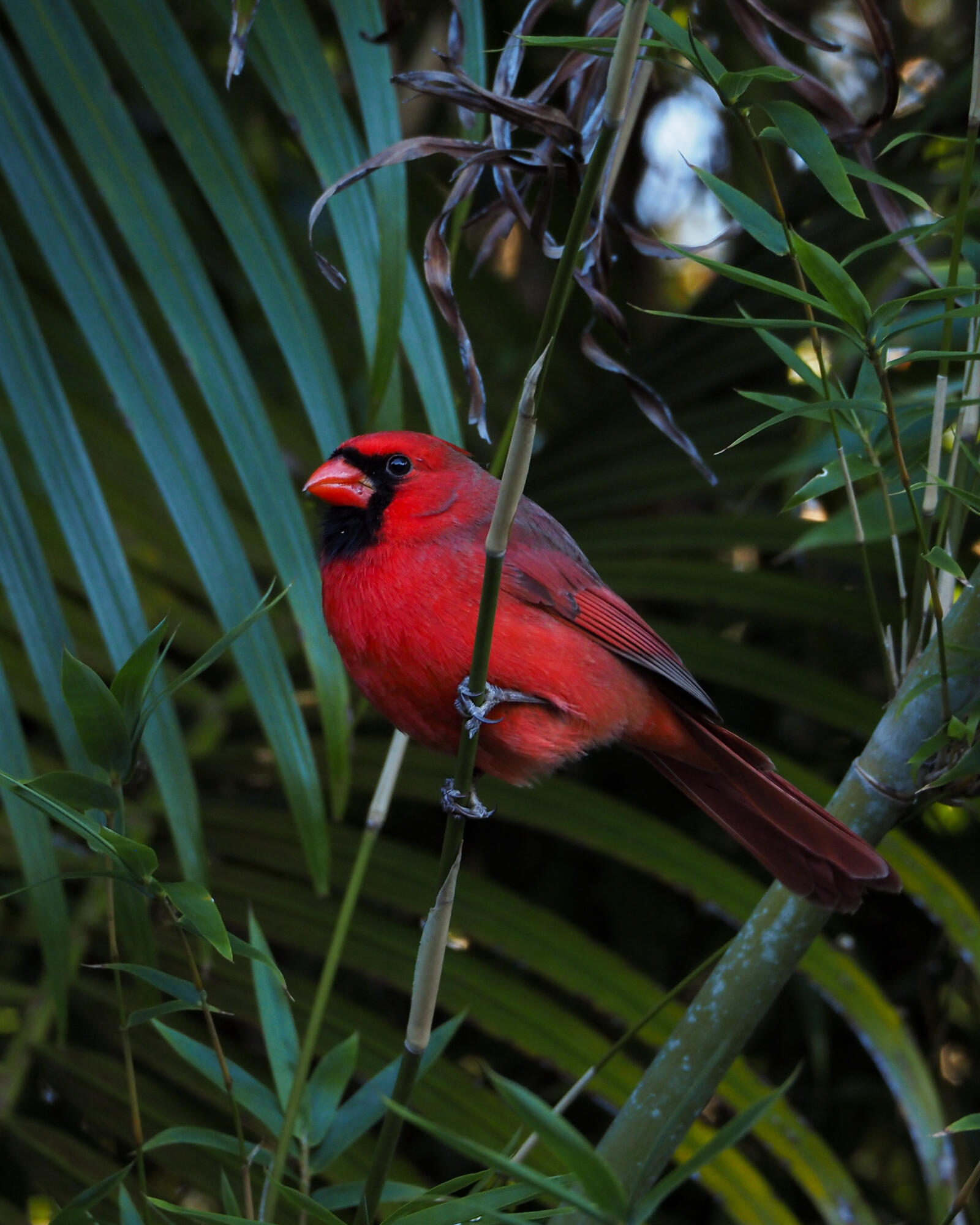 PORT ST LUCIE - Residential