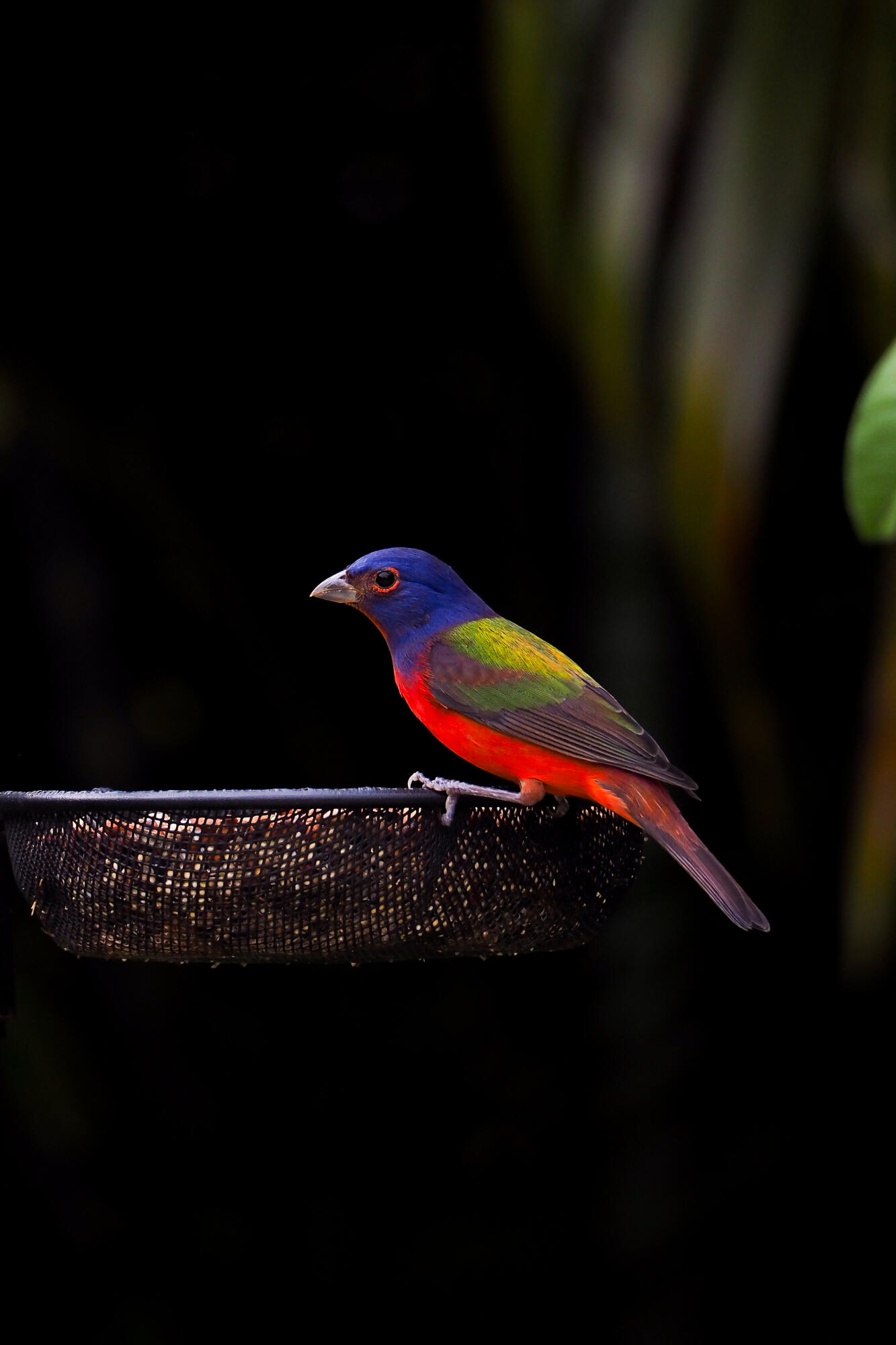 PORT ST LUCIE - Residential