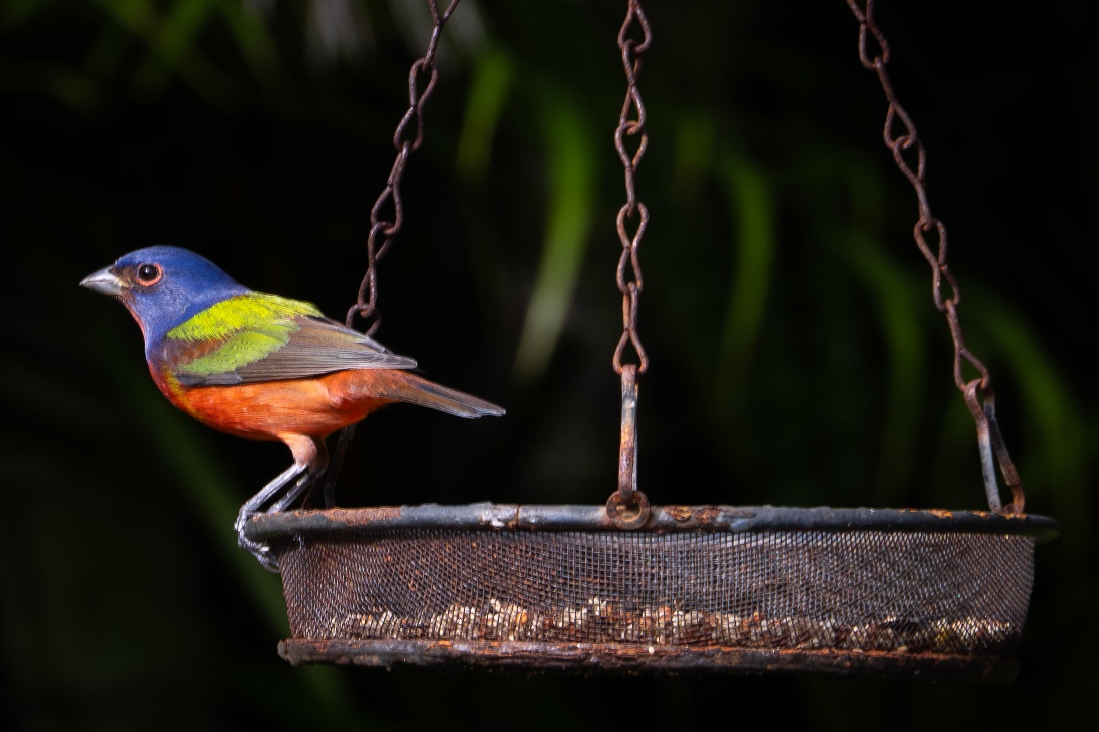 PORT ST LUCIE - Residential