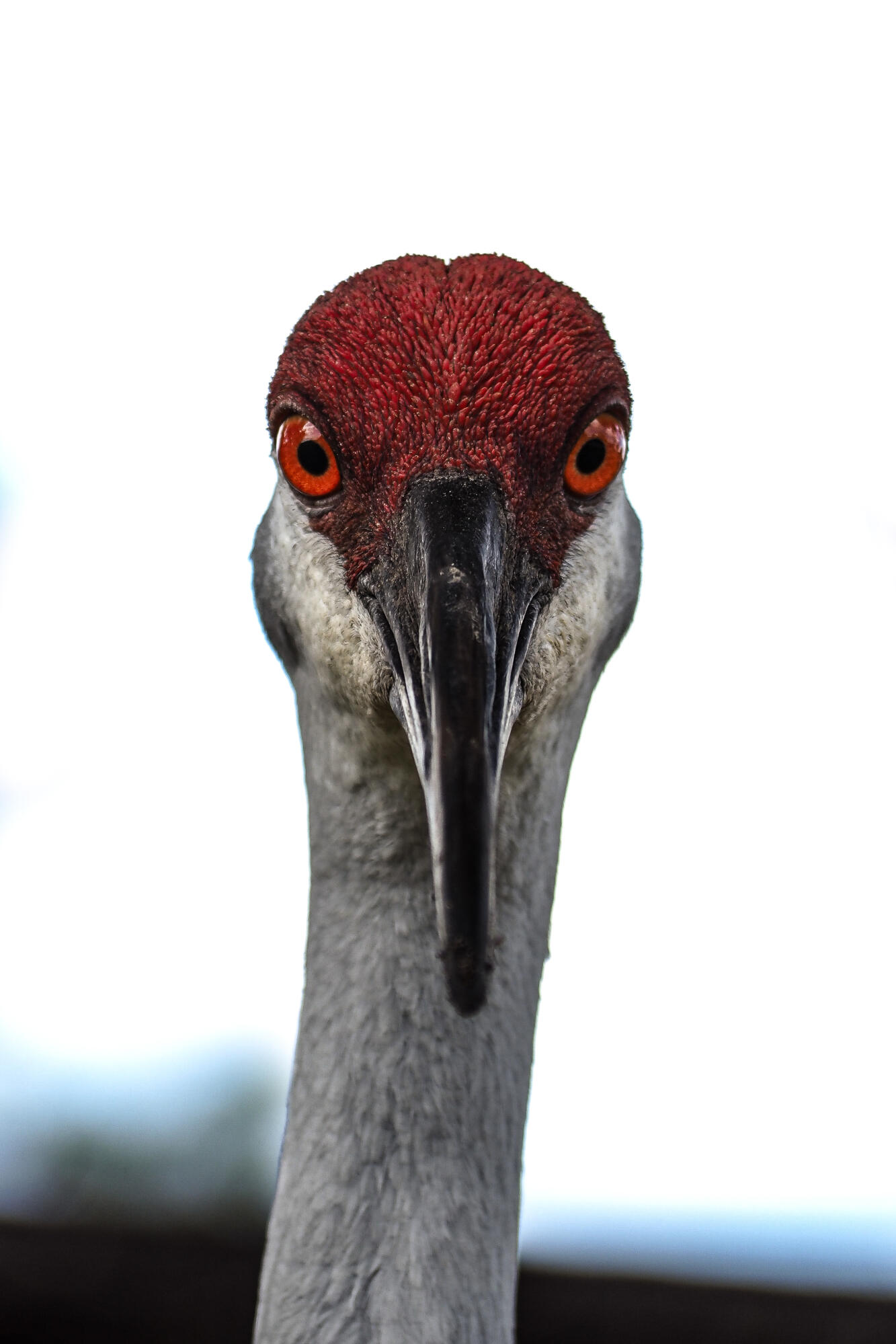 PORT ST LUCIE - Residential