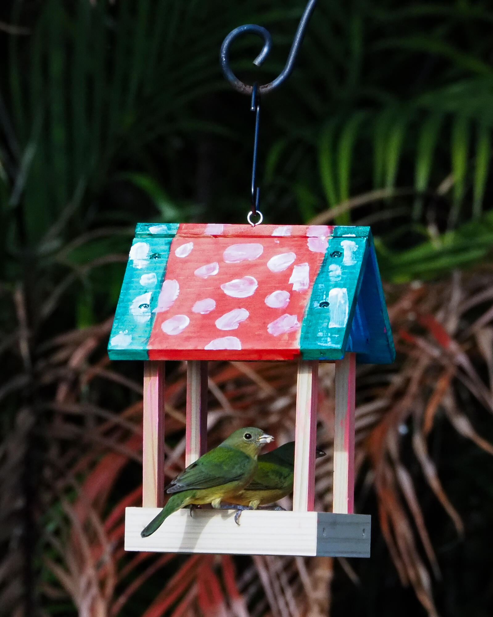 PORT ST LUCIE - Residential