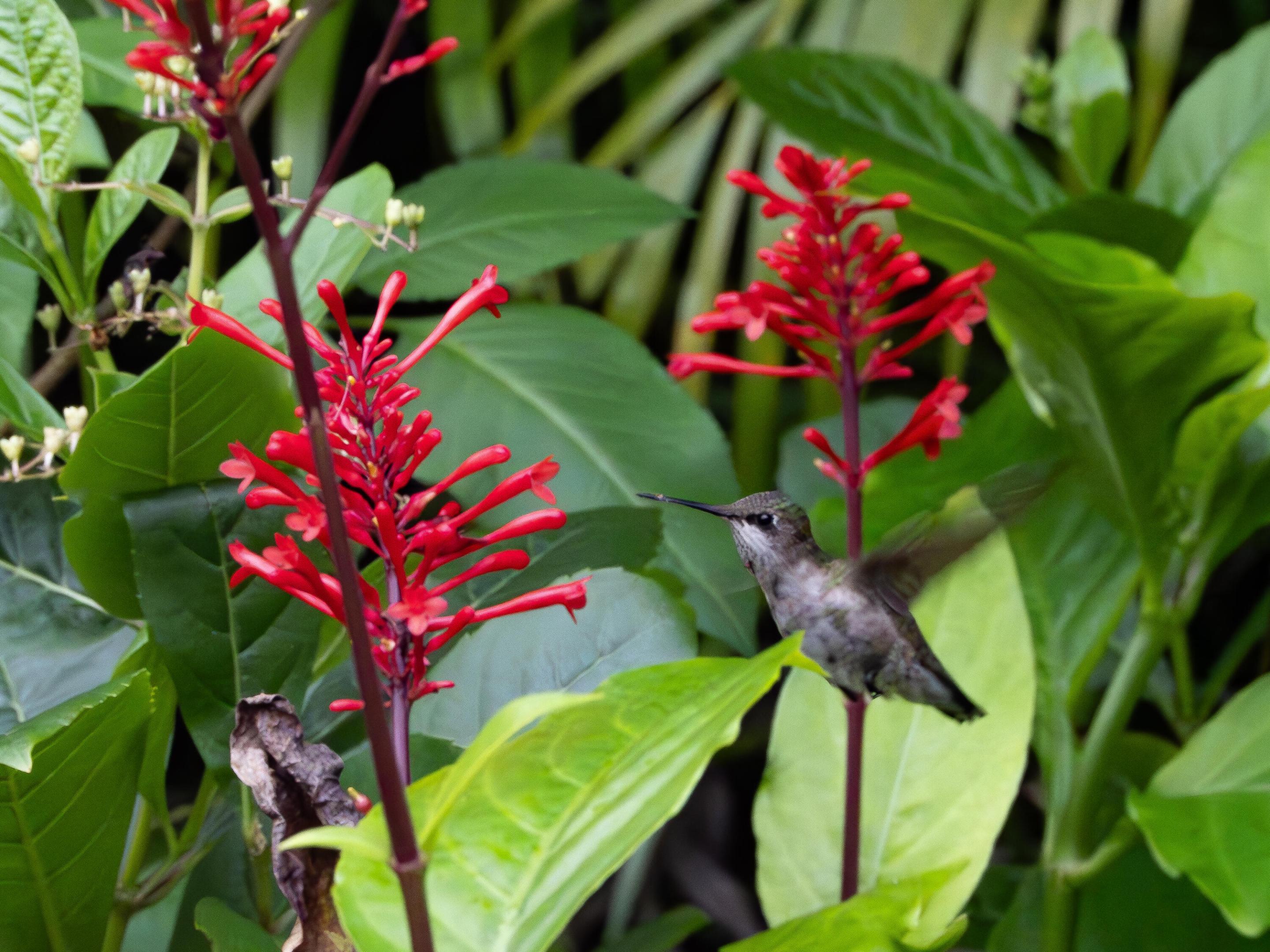 PORT ST LUCIE - Residential
