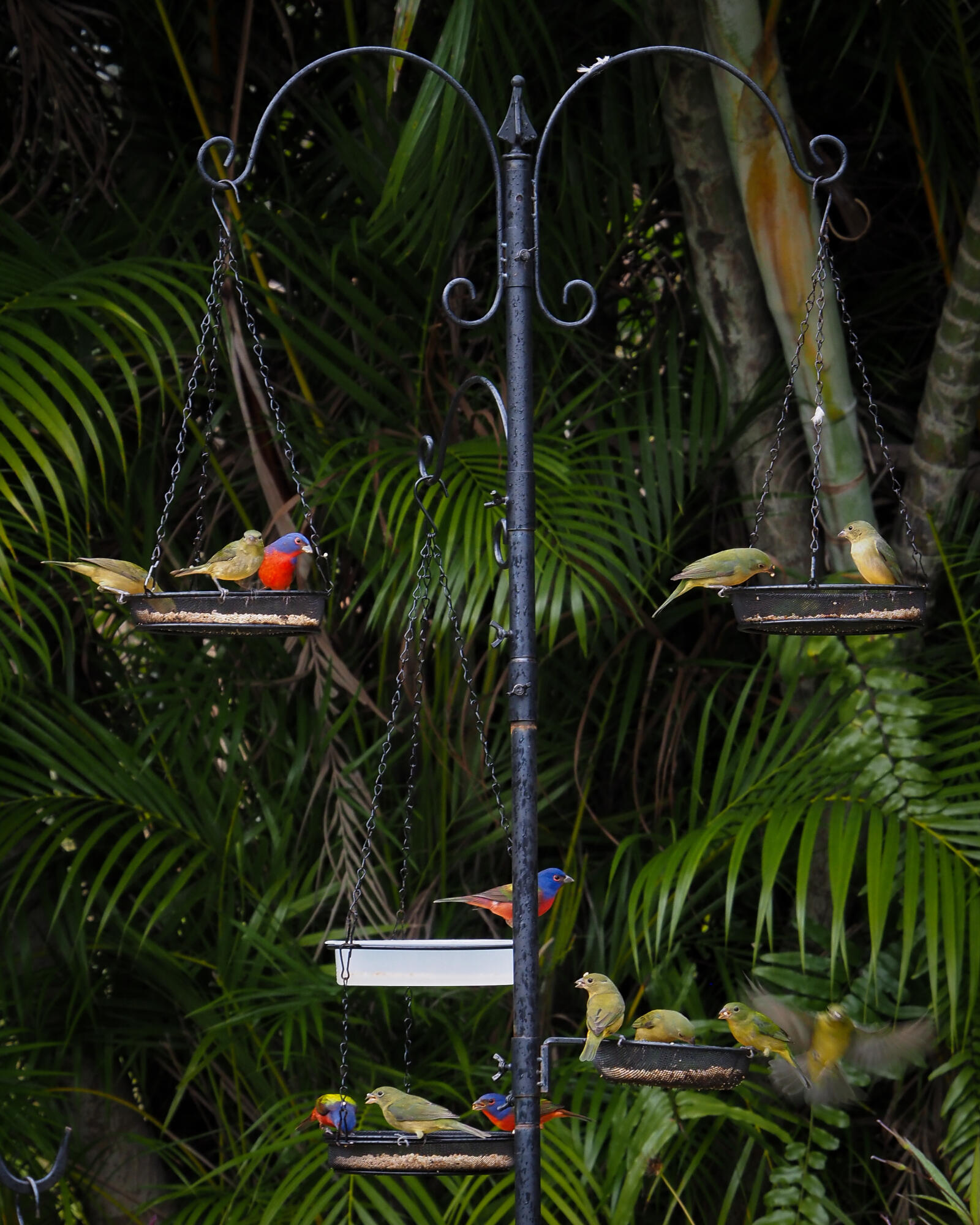 PORT ST LUCIE - Residential