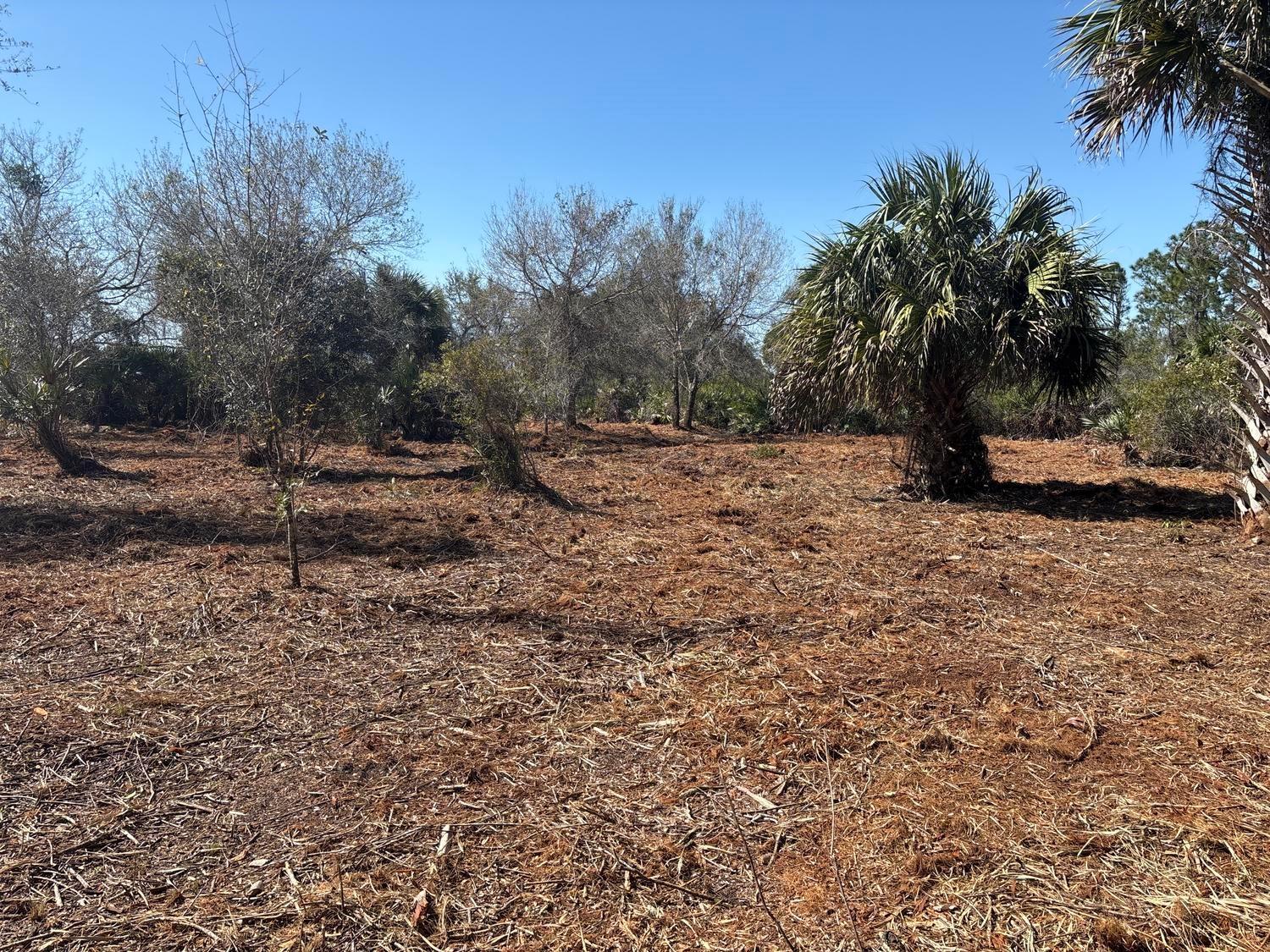 1.26 acres in Viking Estates. Close to the Kissimmee Prairie State Park. Bring your 4 -wheelers. This property is not only ideal for recreational uses such has camping, hunting and shooting, but it’s agricultural as well.
Owner Financing only $2,500 down