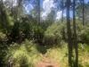 Make this Sun N Lakes lot yours today! Enjoy peace and quiet with no neighbors. Settle in to this beautiful Florida neighborhood with owner financing and only $1k down.
Owner financing Available