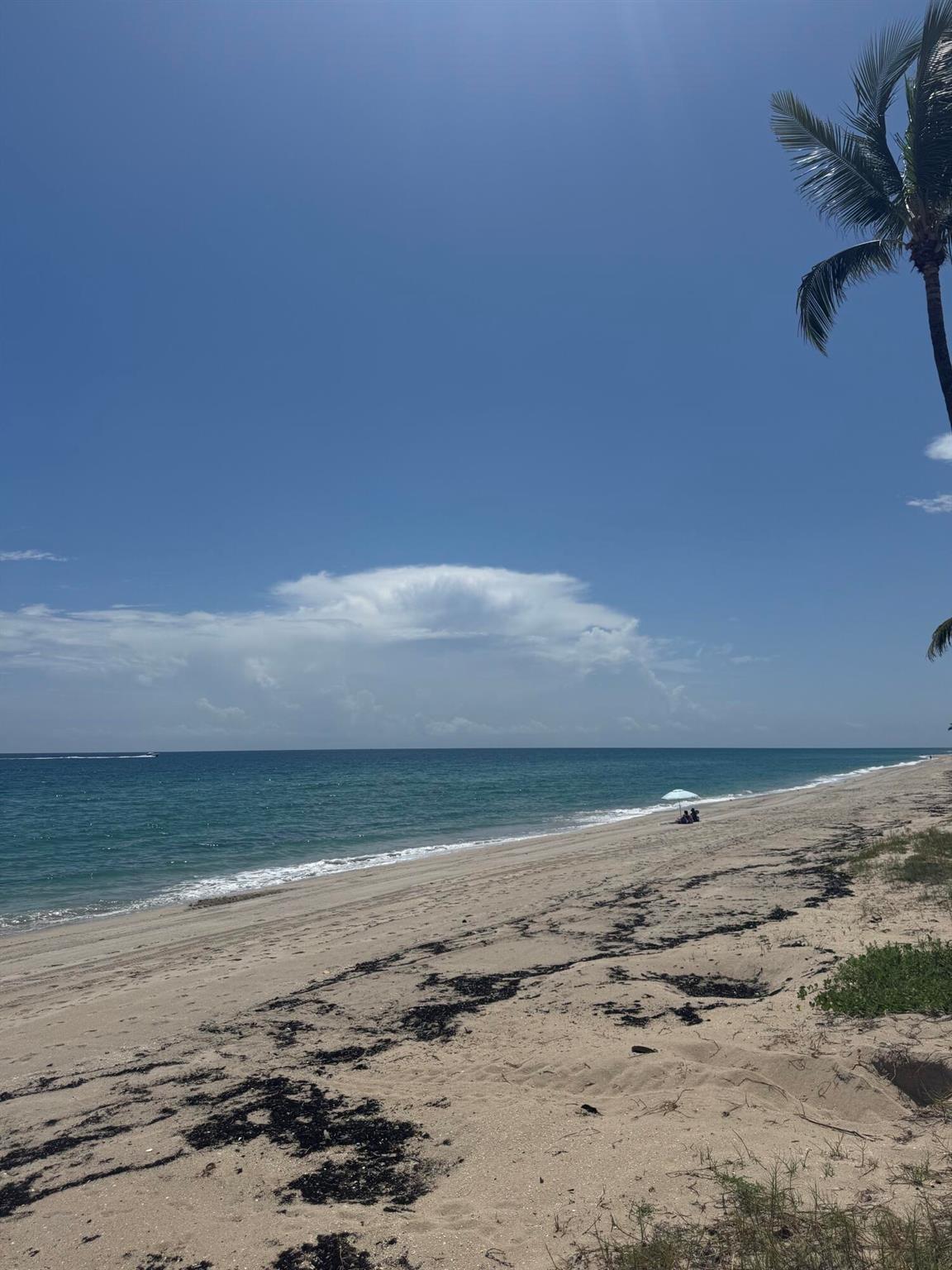 South Palm Beach - Residential