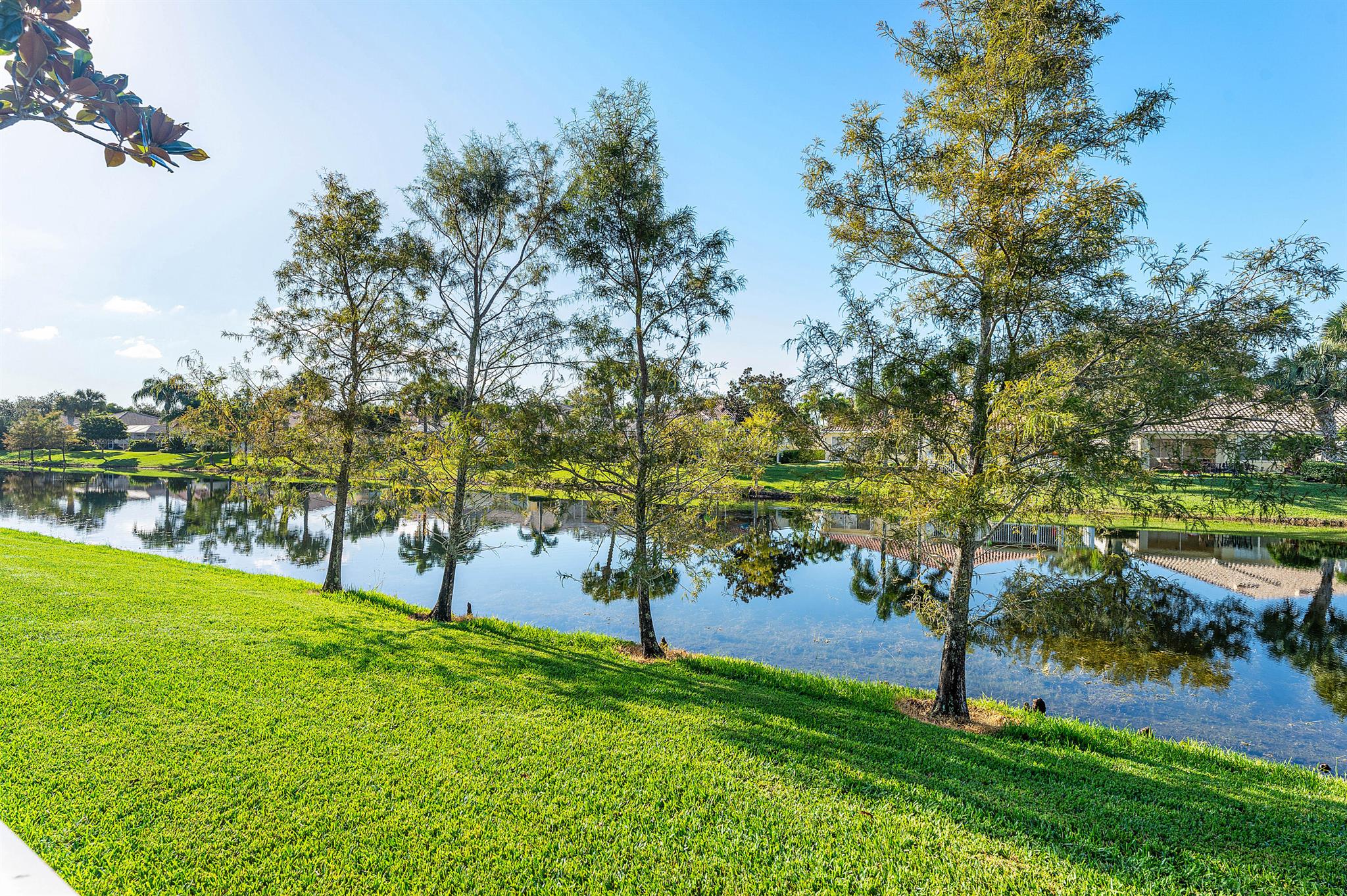View photos, virtual tours, details... 8308 Rosalie Lane