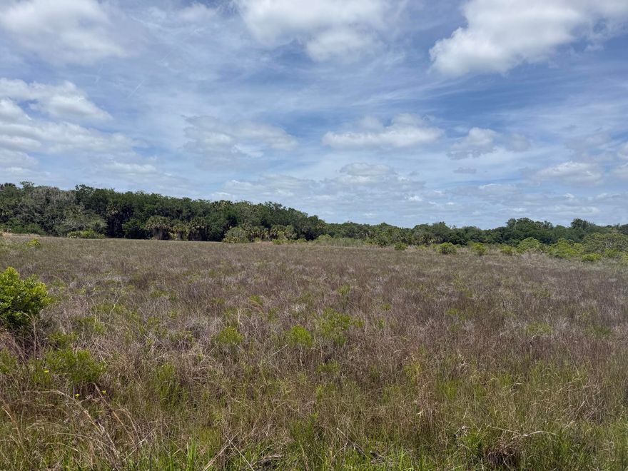 Discover your slice of country living with this 1.25-acre vacant lot located in Okeechobee. Nestled in a quiet, rural setting, this property offers the perfect opportunity to create your own private getaway. Zoned for residential/agricultural use, allowing for flexibility including animals and outdoor living. No HOA and plenty of space to enjoy peace, privacy, and wide-open skies. Conveniently located just off main access roads while still offering a secluded feel. Buyer to perform their own due diligence regarding zoning, land use, and utilities.