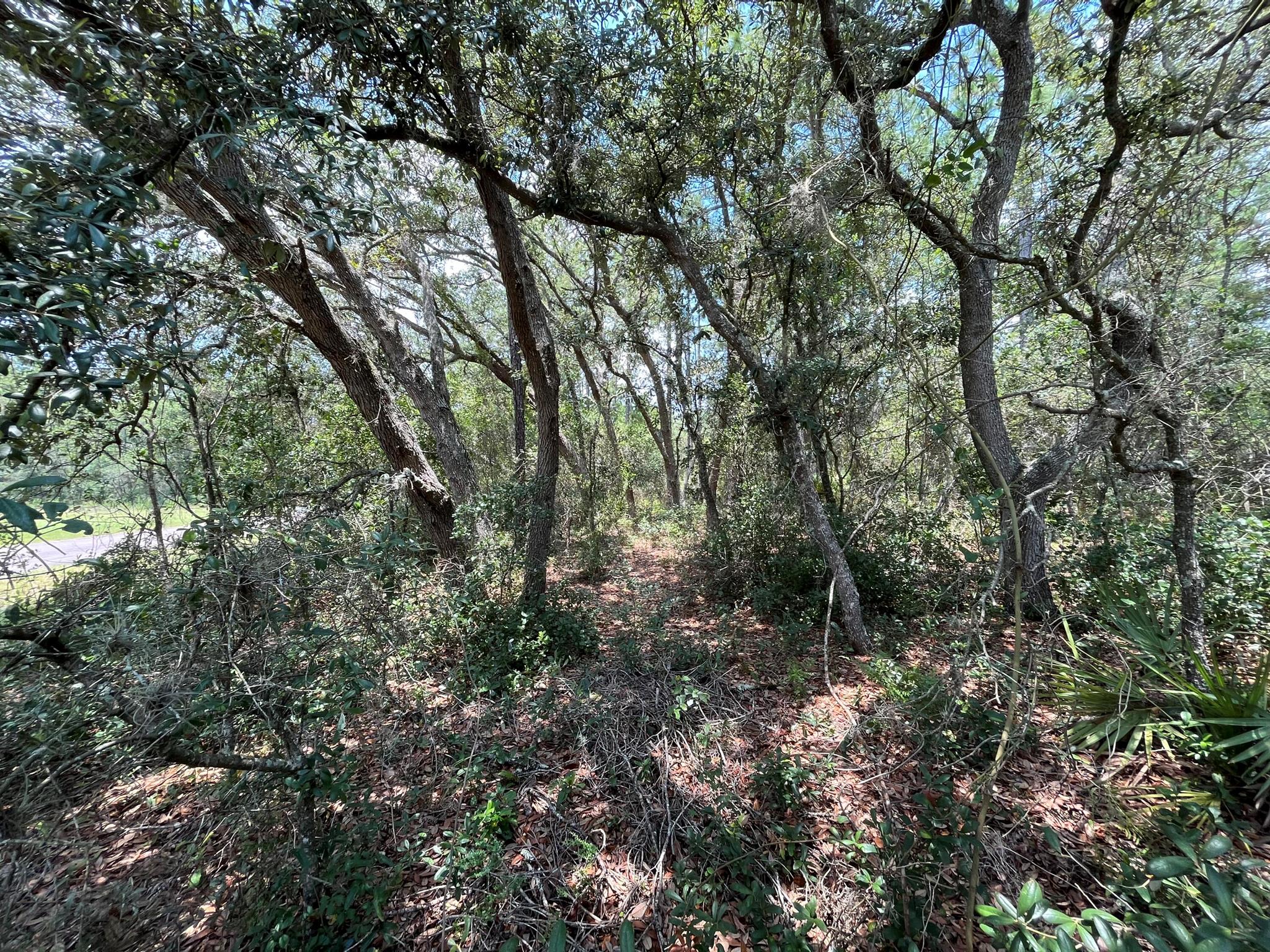 CITRUS SPRINGS UNIT 03 - Land