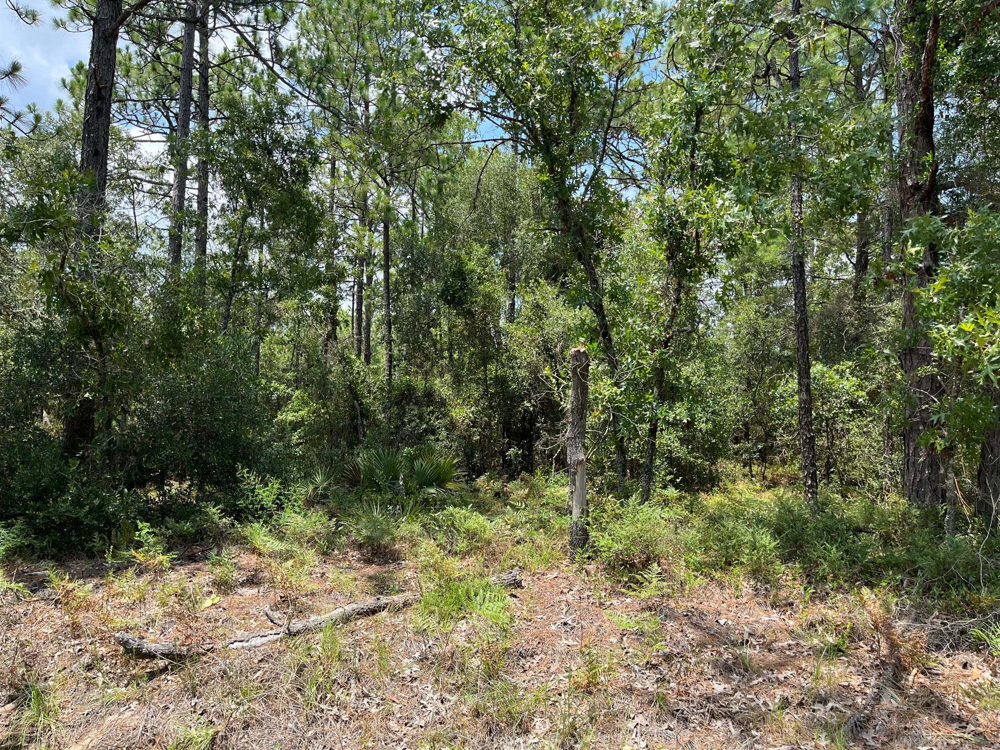 CITRUS SPRINGS UNIT 03 - Land