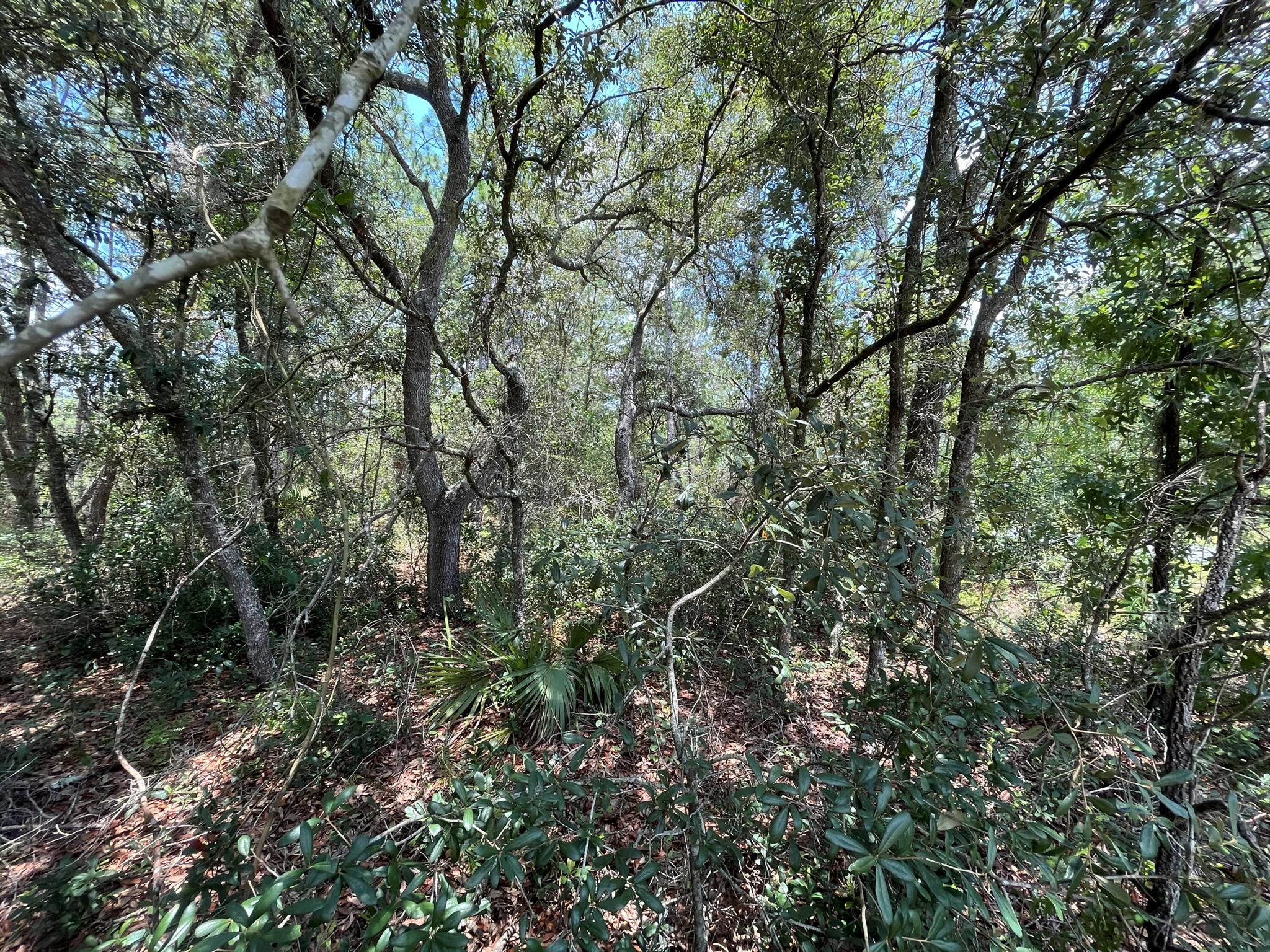 CITRUS SPRINGS UNIT 03 - Land