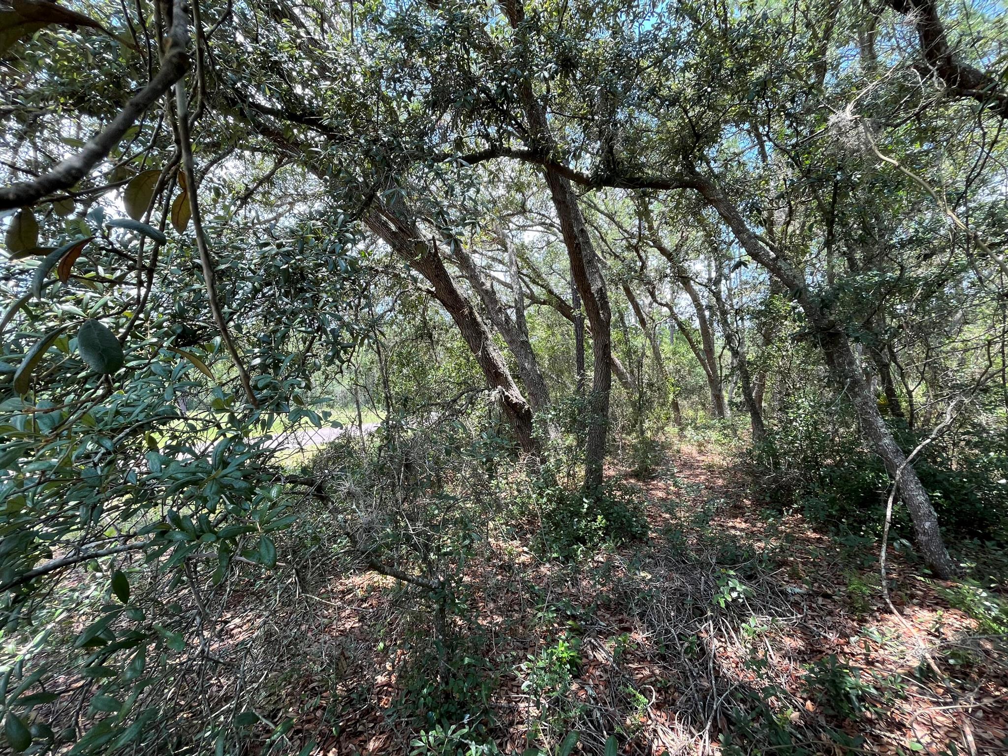 CITRUS SPRINGS UNIT 03 - Land