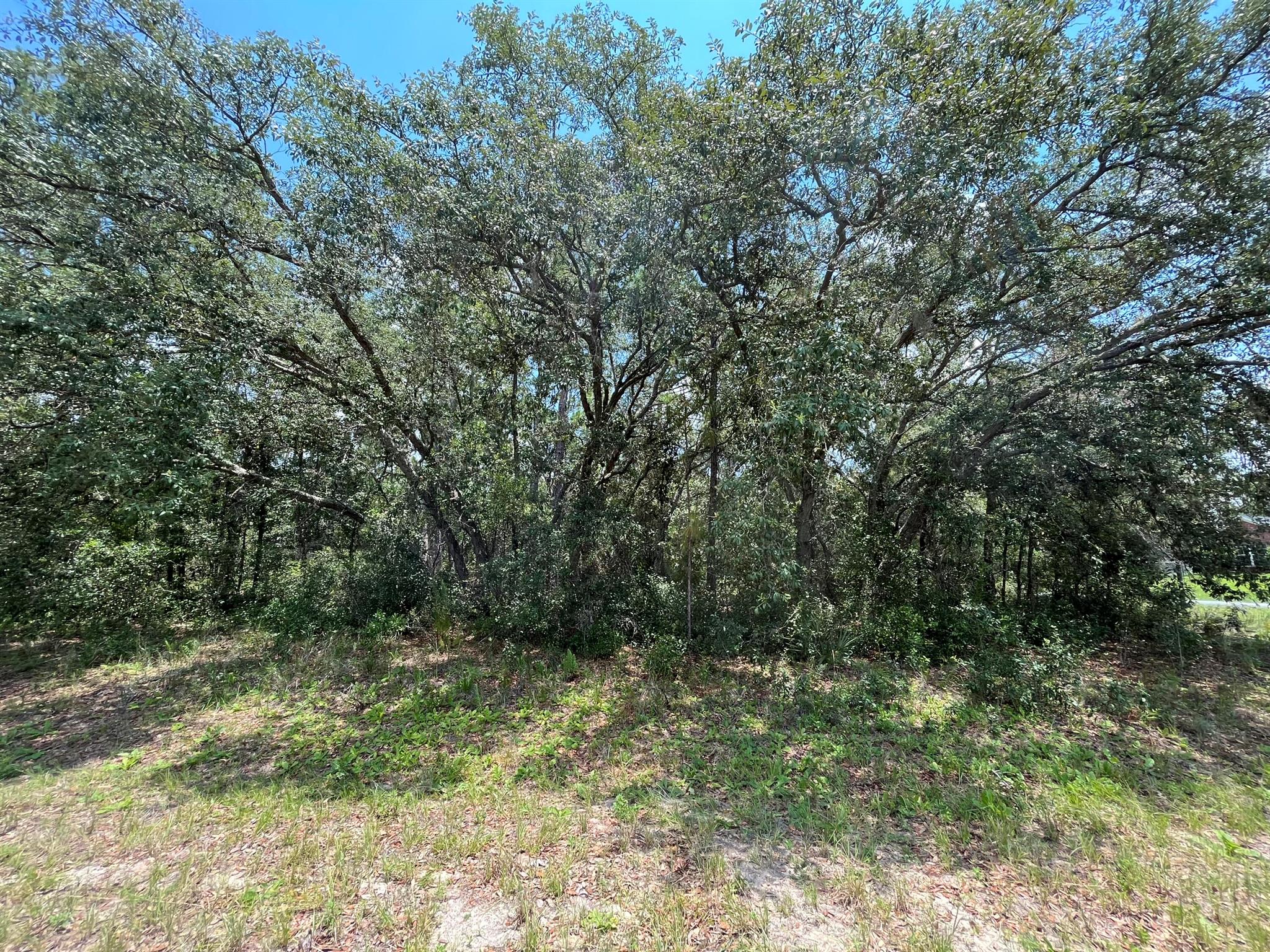 CITRUS SPRINGS UNIT 03 - Land