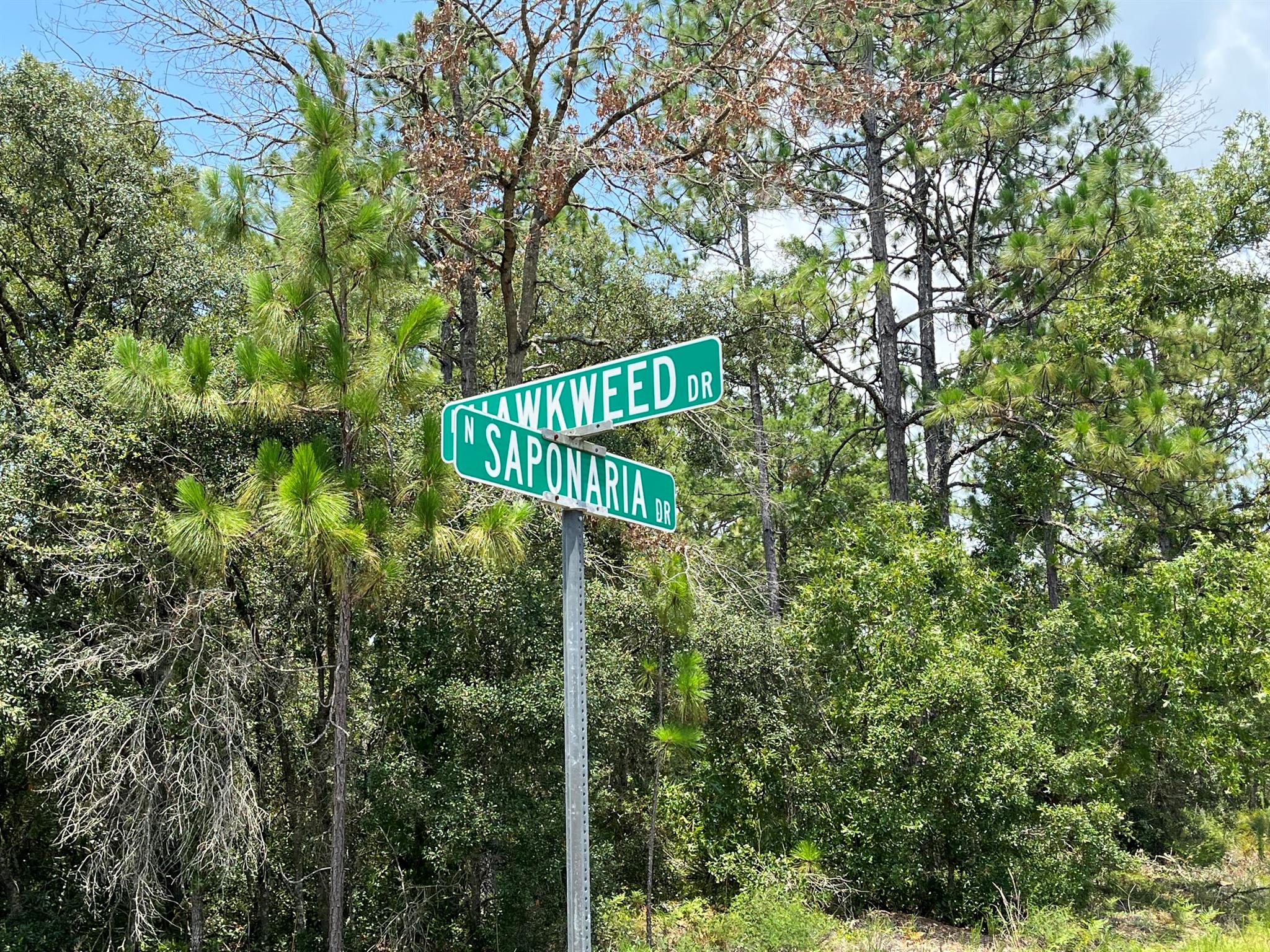 CITRUS SPRINGS UNIT 03 - Land