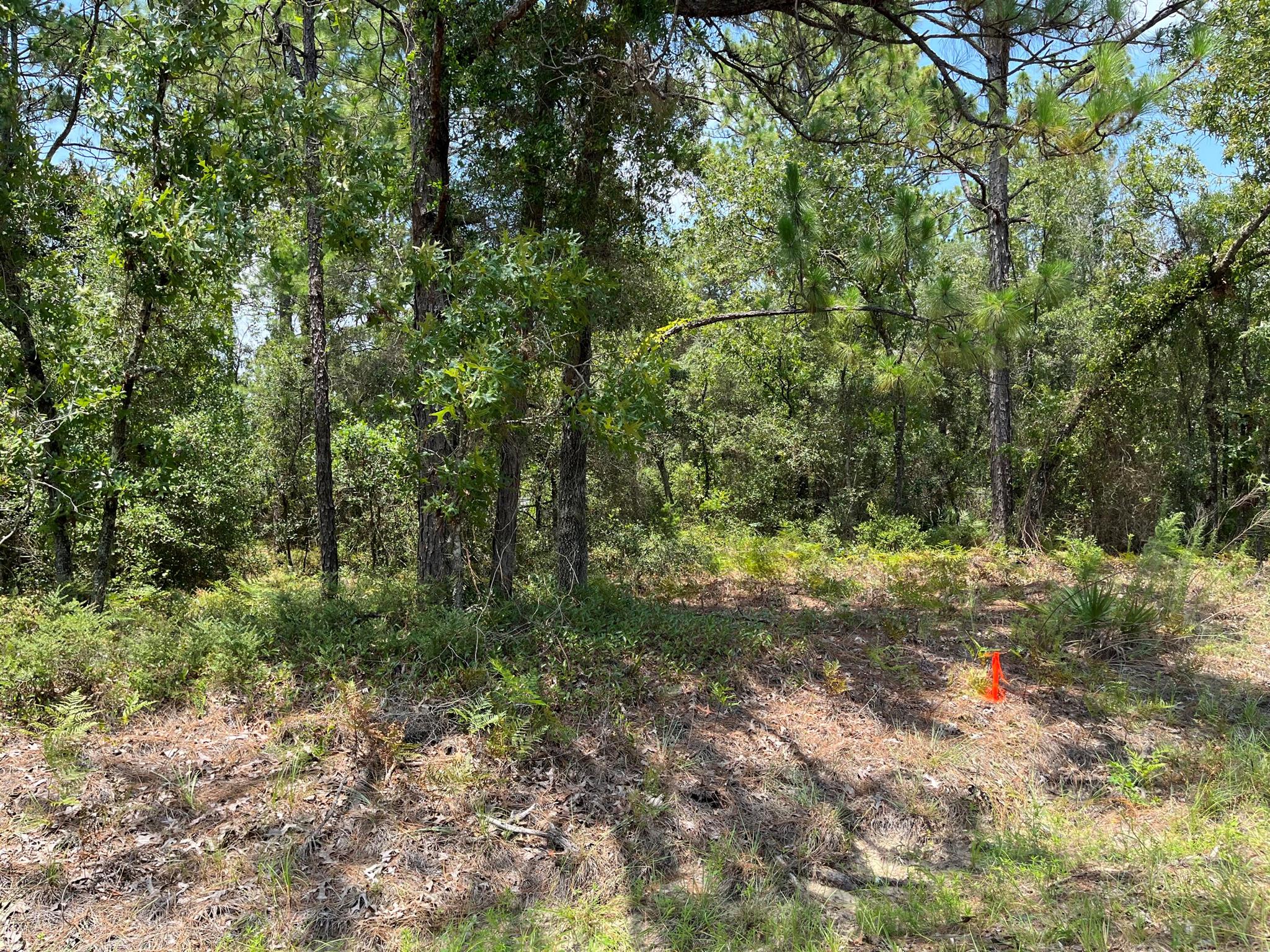 CITRUS SPRINGS UNIT 03 - Land