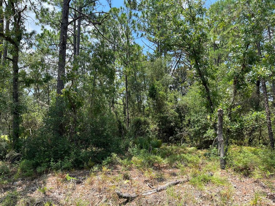 Great lot in a growing area of Citrus Springs!! lot sits across from a beautiful new home. High and dry, sits 80+ ft above sea level! Go see it today and make your dream home come true! Single family home building lot...Homes only subdivision, popular golf community, community center, tennis courts, playgrounds and parks. The Withlacoochee State Trail (bicycle trail) runs through the community from north to south. Public waterlines are available for this lot and power poles are already on the street!! Just minutes from the rainbow river state park. Owner financing available .