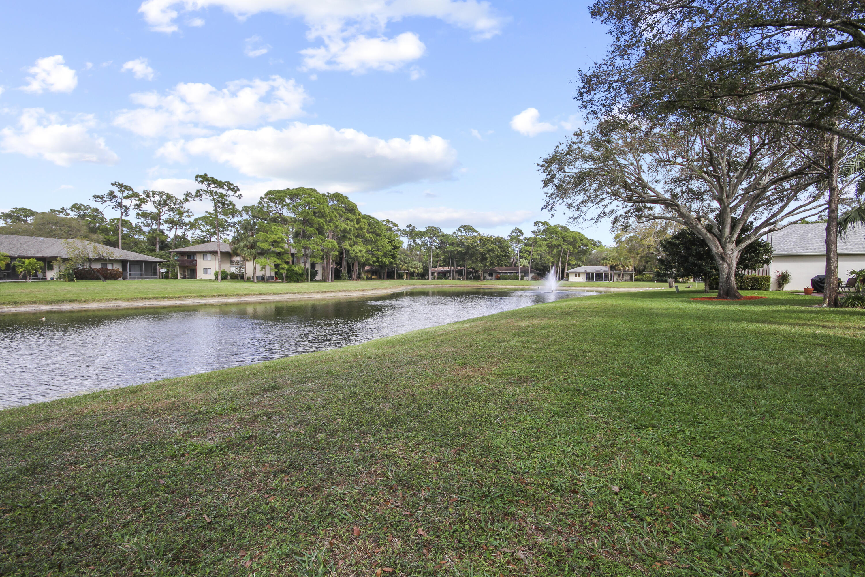 MNR FOREST 2 - Residential