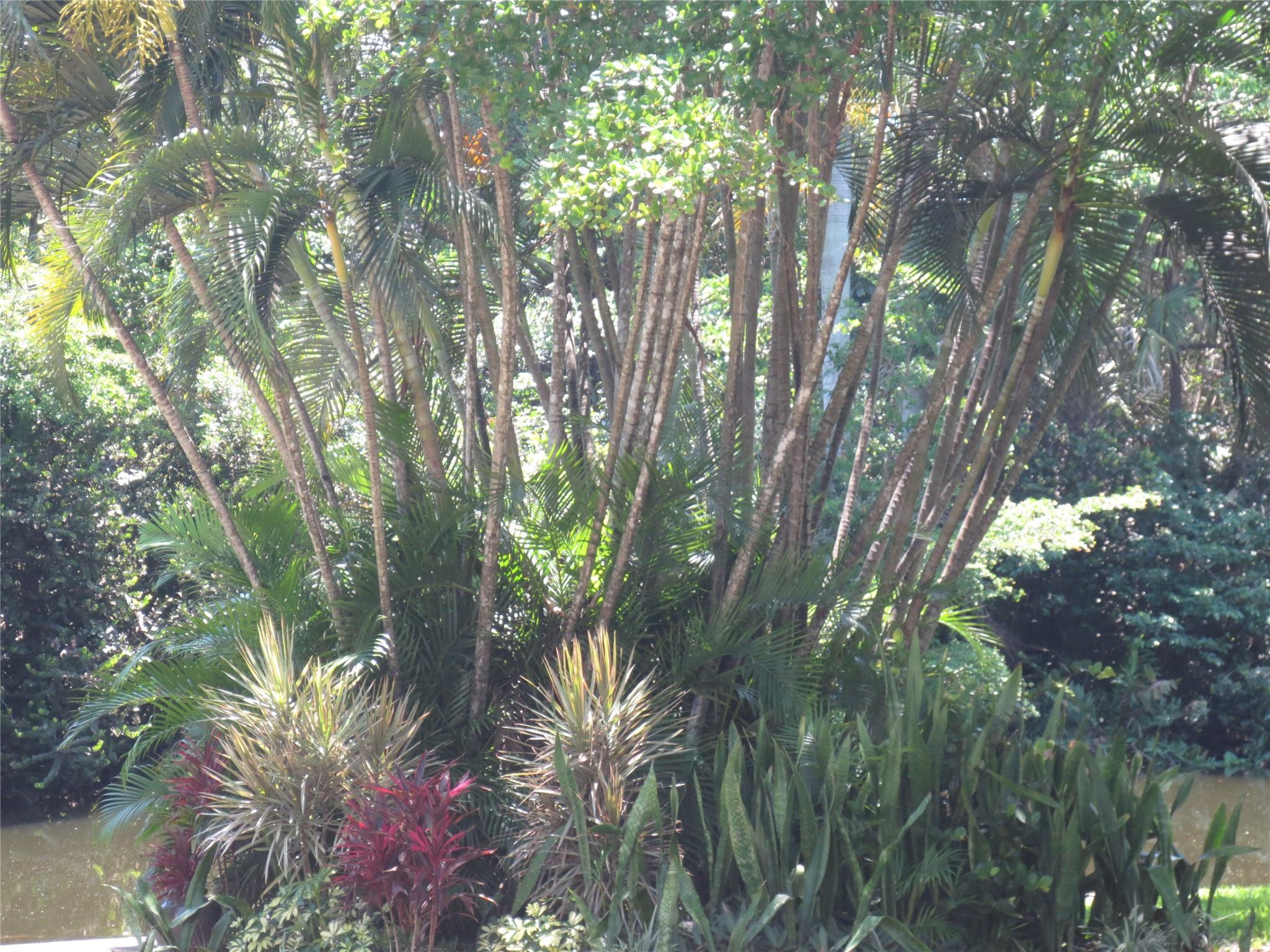 Royal Park - Residential