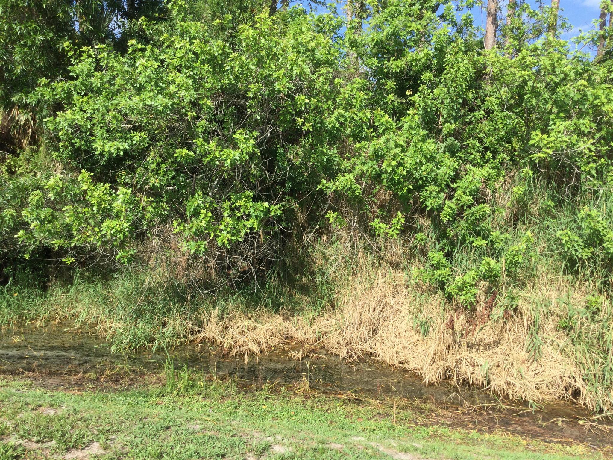 Spanish Lakes One 55+ Com - Residential