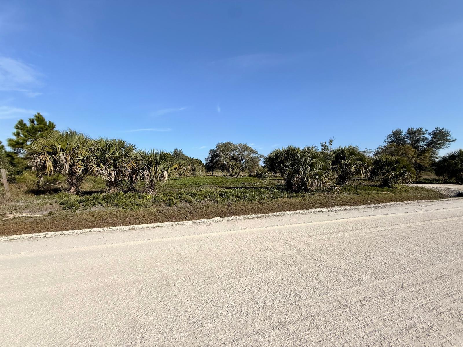 VIKINGS PRAIRIE - Land