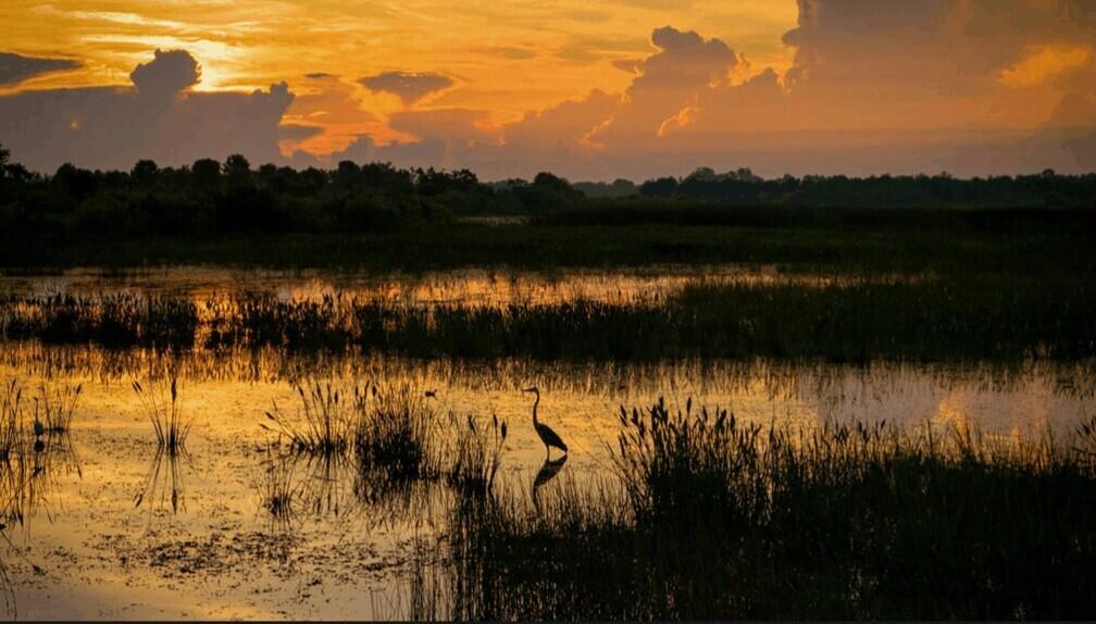 CORAL ISLES - Residential