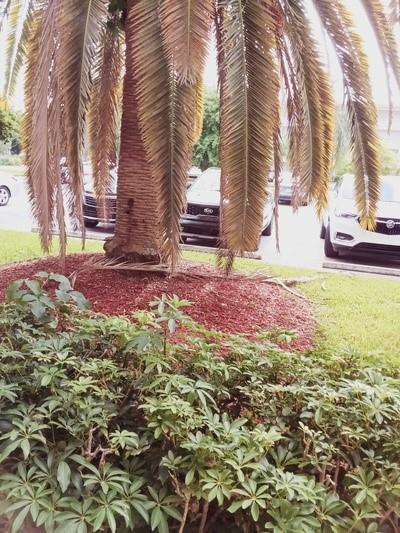 Lucaya Village 2-B Condo - Residential Lease