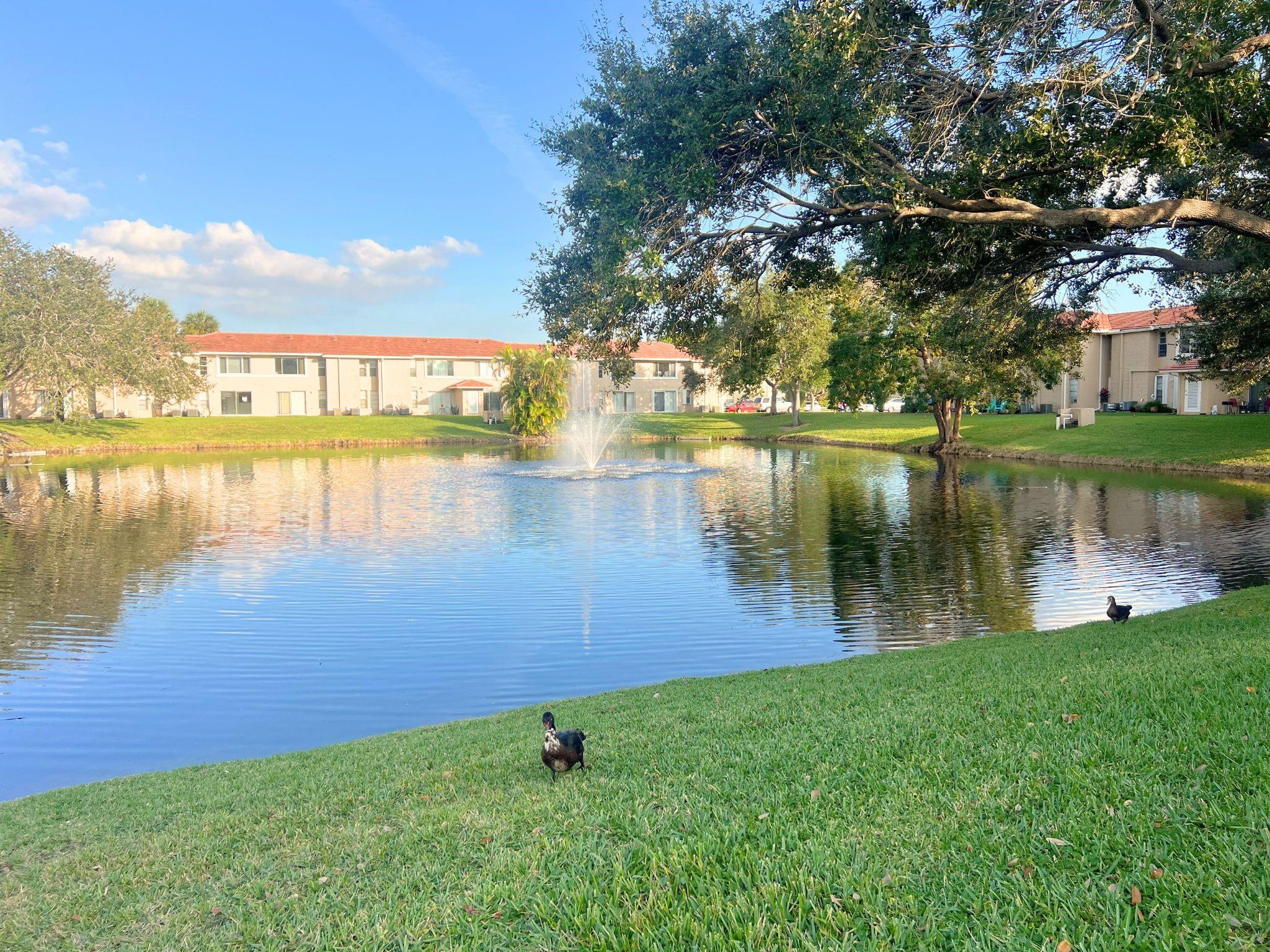 Lakewood Village - Residential Lease