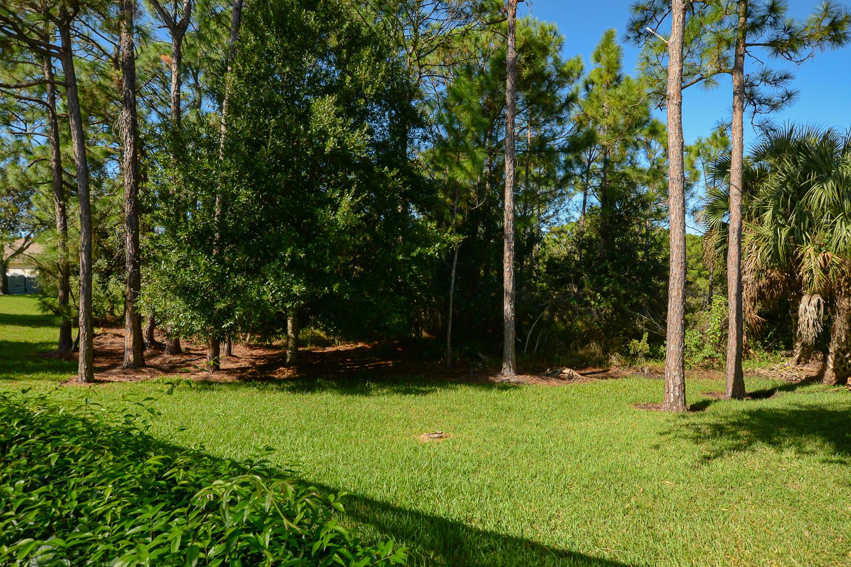 Willow Pines - Residential Lease