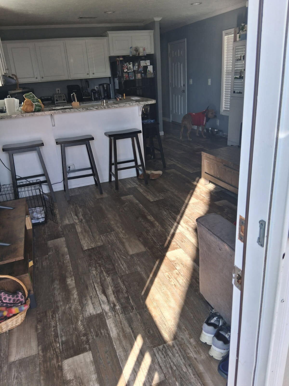 356 Mockingbird Avenue