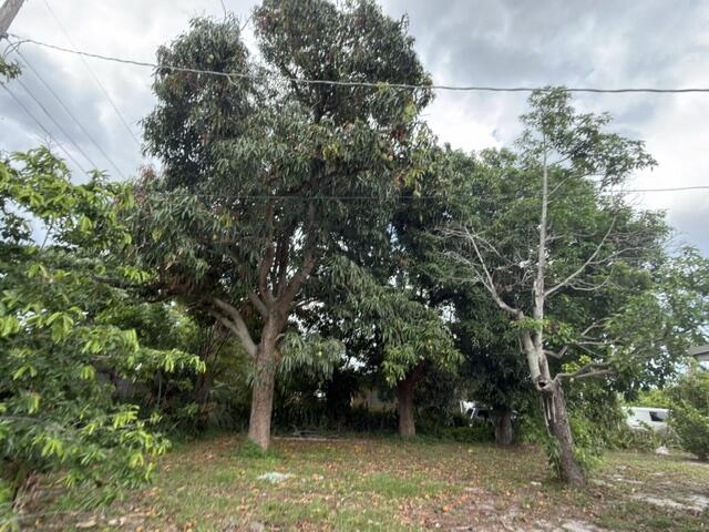 RIDGE GROVE ADD 1 - Residential