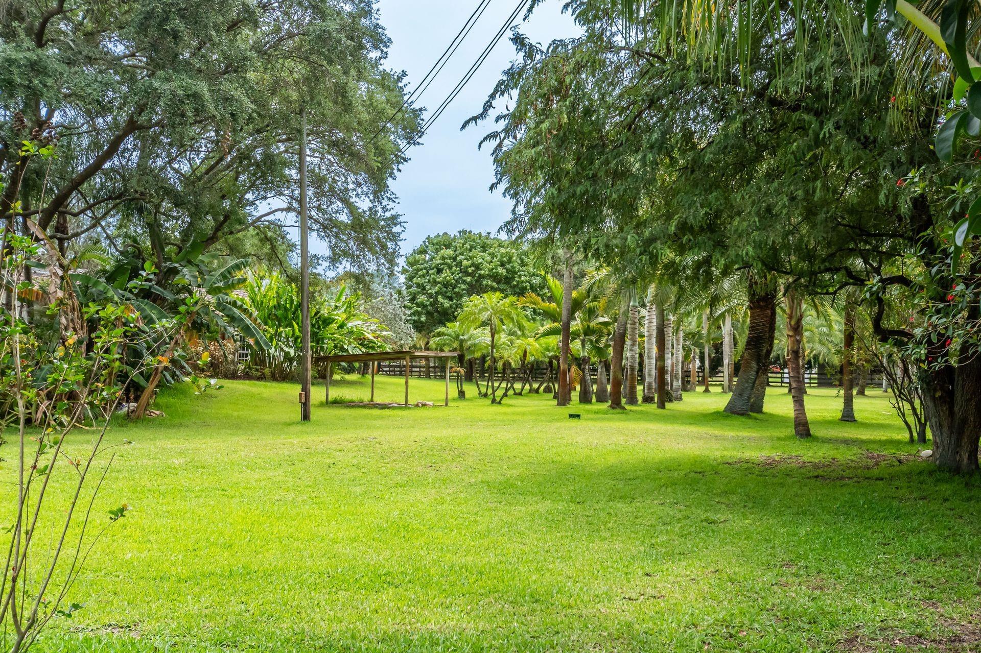 Fla Fruit Lands Co Sub 1 - Residential