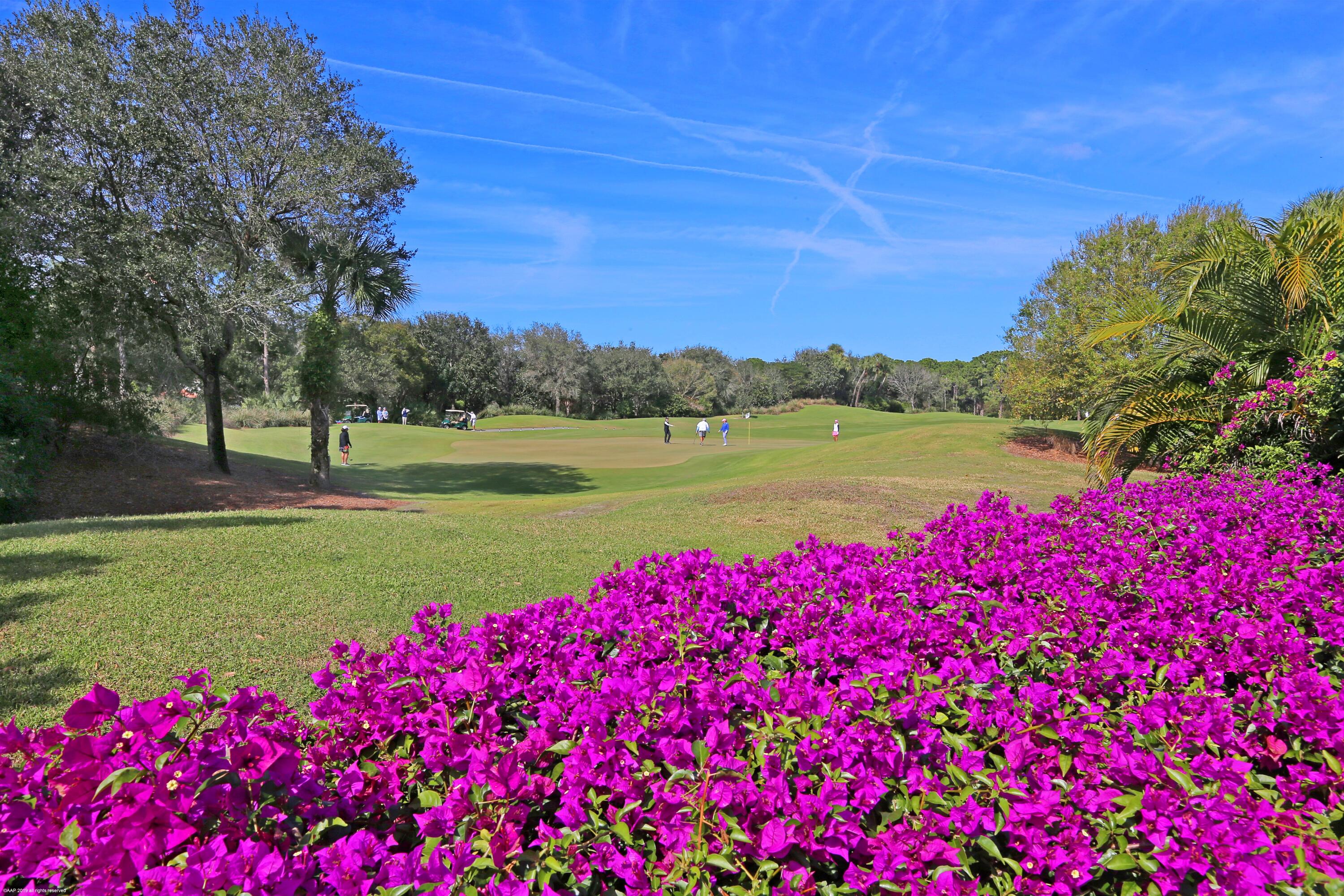 OLD PALM - Residential