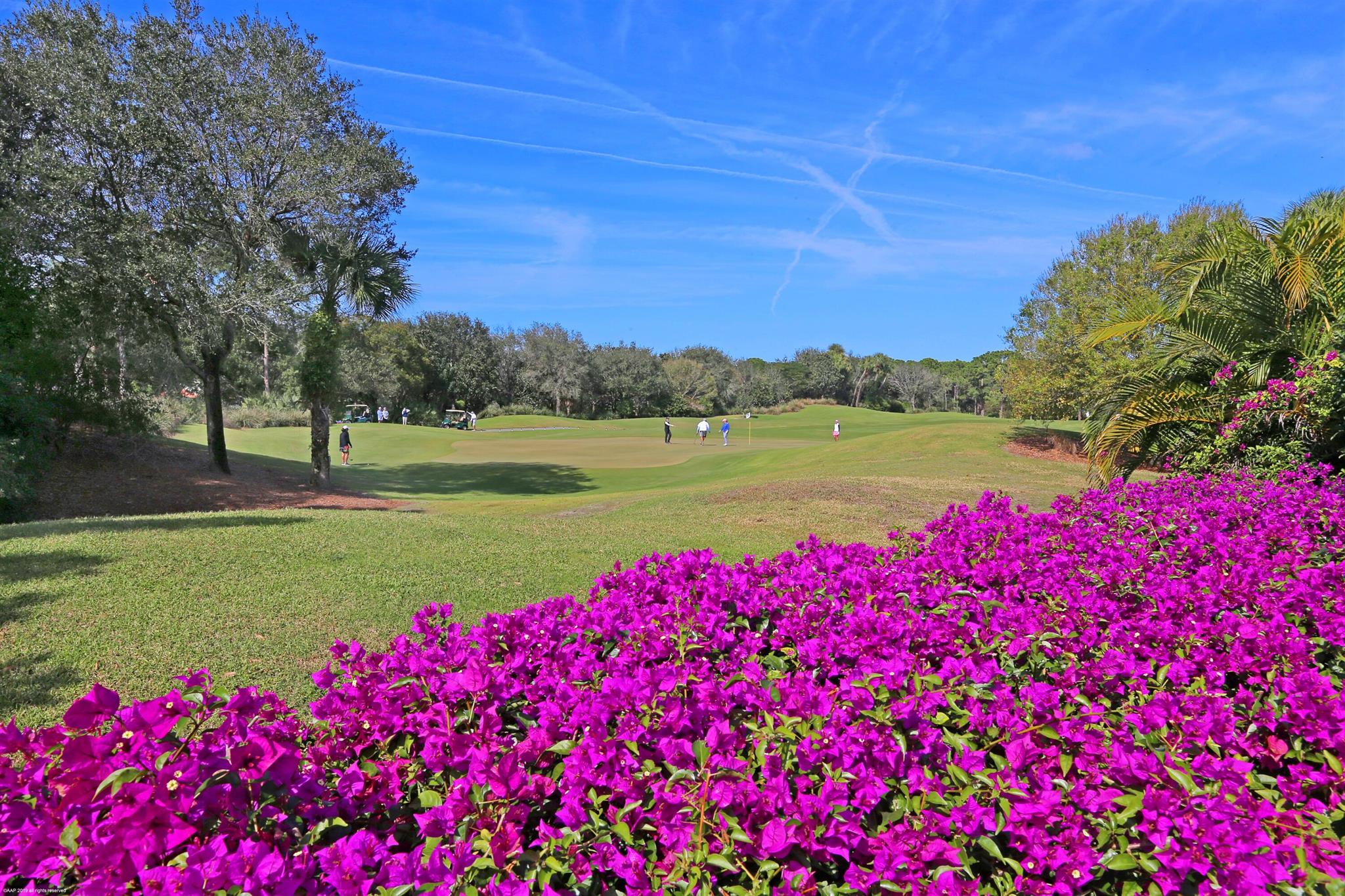 OLD PALM - Residential