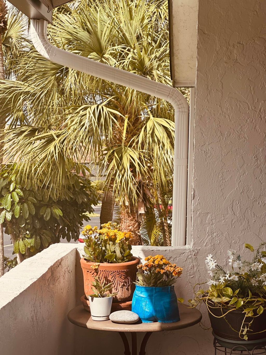 Photo of 13548 Sabal Palm Court #C, Delray Beach, FL 33484 (MLS # B26000429)